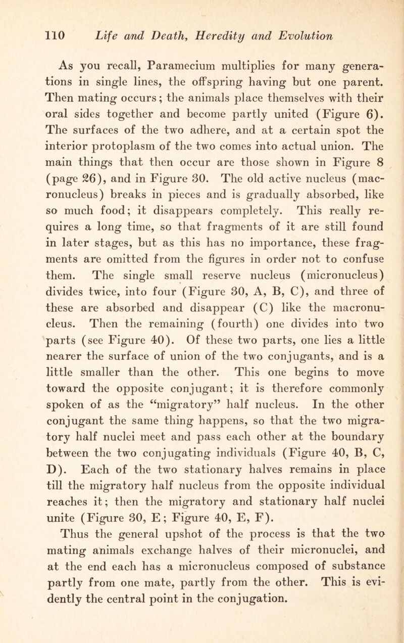 As you recall, Paramecium multiplies for many genera- tions in single lines, the offspring having but one parent. Then mating occurs; the animals place themselves with their oral sides together and become partly united (Figure 6). The surfaces of the two adhere, and at a certain spot the interior protoplasm of the two comes into actual union. The main things that then occur are those shown in Figure 8 (page 26), and in Figure 30. The old active nucleus (mac- ronucleus) breaks in pieces and is gradually absorbed, like so much food; it disappears completely. This really re- quires a long time, so that fragments of it are still found in later stages, but as this has no importance, these frag- ments are omitted from the figures in order not to confuse them. The single small reserve nucleus (micronucleus) divides twice, into four (Figure 30, A, B, C), and three of these are absorbed and disappear (C) like the macronu- cleus. Then the remaining (fourth) one divides into two parts (see Figure 40). Of these two parts, one lies a little nearer the surface of union of the two conjugants, and is a little smaller than the other. This one begins to move toward the opposite conjugant; it is therefore commonly spoken of as the “migratory” half nucleus. In the other conjugant the same thing happens, so that the two migra- tory half nuclei meet and pass each other at the boundary between the two conjugating individuals (Figure 40, B, C, D). Each of the two stationary halves remains in place till the migratory half nucleus from the opposite individual reaches it; then the migratory and stationary half nuclei unite (Figure 30, E; Figure 40, E, F). Thus the general upshot of the process is that the two mating animals exchange halves of their micronuclei, and at the end each has a micronucleus composed of substance partly from one mate, partly from the other. This is evi- dently the central point in the conjugation.