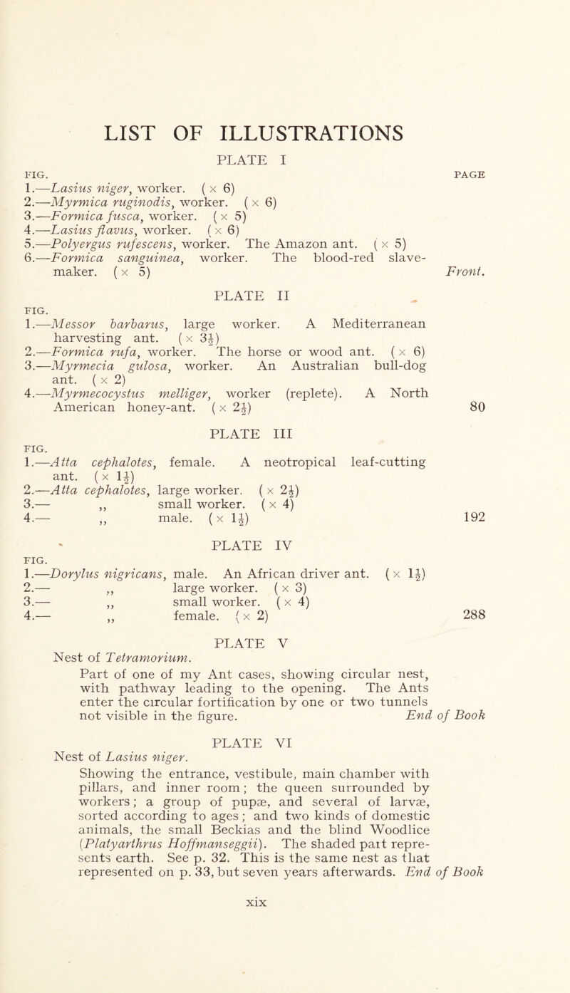 LIST OF ILLUSTRATIONS PLATE I FIG. 1. —Lasius niger, worker. ( x 6) 2. —Myrmica ruginodis, worker. ( x 6) 3. —Formica fusca, worker, (x 5) 4. —Lasius flavus, worker, (x 6) 5. —Polyergus rufescens, worker. The Amazon ant. ( x 5) 6. —Formica sanguinea, worker. The blood-red slave maker. (x 5) PLATE II FIG. 1. -—Messor barbarus, large worker. A Mediterranean harvesting ant. ( x 3J) 2. —Formica rufa, worker. The horse or wood ant. ( x 6) 3. —Myrmecia gulosa, worker. An Australian bull-dog ant. ( x 2) 4. —Myrmecocystus melliger, worker (replete). A North American honey-ant. (x 2J) 80 PLATE III FIG. 1. —Atta cephalotes, female. A neotropical leaf-cutting ant. ( x 14) 2. —Atta cephalotes, large worker. ( x 2f) 3. — ,, small worker. ( x 4) 4. — ,, male, (x 1J) 192 PLATE IV FIG. 1. —Dorylus nigricans, male. An African driver ant. (x 1J) 2. — „ large worker. ( x 3) 3. — ,, small worker, (x 4) 4. — „ female. (x 2) 288 PLATE V Nest of Tetramorium. Part of one of my Ant cases, showing circular nest, with pathway leading to the opening. The Ants enter the circular fortification by one or two tunnels not visible in the figure. End of Book PLATE VI Nest of Lasius niger. Showing the entrance, vestibule, main chamber with pillars, and inner room; the queen surrounded by workers; a group of pupae, and several of larvae, sorted according to ages; and two kinds of domestic animals, the small Beckias and the blind Woodlice [Platyarthrus Hoffmanseggii). The shaded part repre- sents earth. See p. 32. This is the same nest as that represented on p. 33, but seven years afterwards. End of Book PAGE Front.