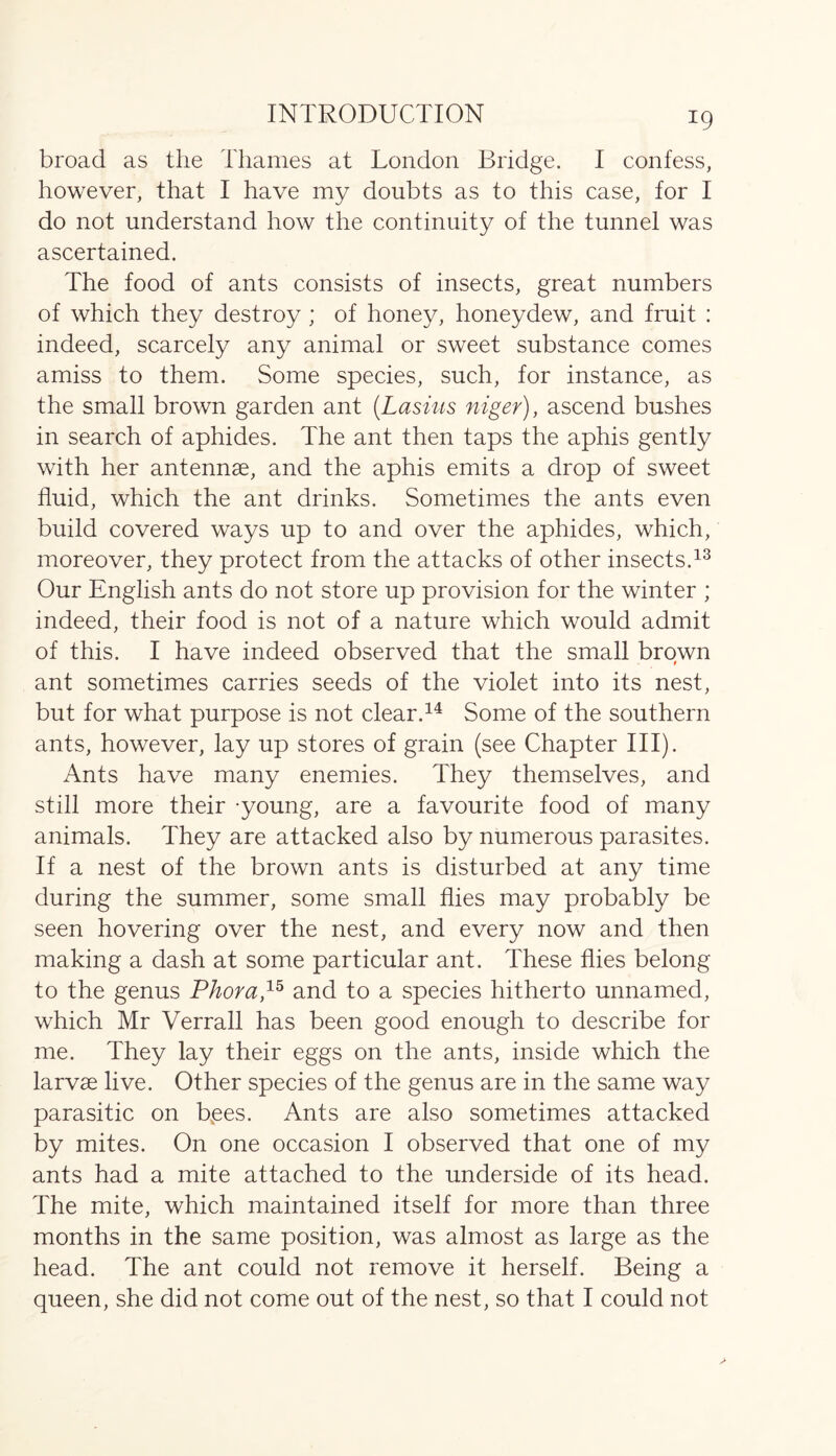 *9 broad as the Thames at London Bridge. I confess, however, that I have my doubts as to this case, for I do not understand how the continuity of the tunnel was ascertained. The food of ants consists of insects, great numbers of which they destroy ; of honey, honeydew, and fruit : indeed, scarcely any animal or sweet substance comes amiss to them. Some species, such, for instance, as the small brown garden ant (Lashes niger), ascend bushes in search of aphides. The ant then taps the aphis gently with her antennae, and the aphis emits a drop of sweet fluid, which the ant drinks. Sometimes the ants even build covered ways up to and over the aphides, which, moreover, they protect from the attacks of other insects.13 Our English ants do not store up provision for the winter ; indeed, their food is not of a nature which would admit of this. I have indeed observed that the small brown ant sometimes carries seeds of the violet into its nest, but for what purpose is not clear.14 Some of the southern ants, however, lay up stores of grain (see Chapter III). Ants have many enemies. They themselves, and still more their -young, are a favourite food of many animals. They are attacked also by numerous parasites. If a nest of the brown ants is disturbed at any time during the summer, some small flies may probably be seen hovering over the nest, and every now and then making a dash at some particular ant. These flies belong to the genus Phora,15 and to a species hitherto unnamed, which Mr Verrall has been good enough to describe for me. They lay their eggs on the ants, inside which the larvae live. Other species of the genus are in the same way parasitic on bxees. Ants are also sometimes attacked by mites. On one occasion I observed that one of my ants had a mite attached to the underside of its head. The mite, which maintained itself for more than three months in the same position, was almost as large as the head. The ant could not remove it herself. Being a queen, she did not come out of the nest, so that I could not