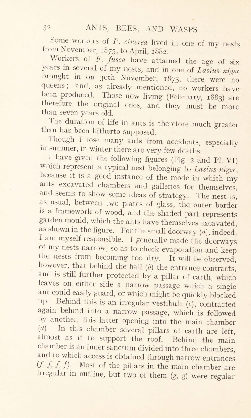 Some workers of F. cinevea lived in one of my nests from November, 1875, to April, 1882. Workers of F. fusca have attained the age of six years in several of my nests, and in one of Lasius niger brought m on 30th November, 1875, there were no queens , and, as already mentioned, no workers have been produced. Those now living (February, 1883) are therefore the original ones, and they must be more than seven years old. Ihe duration of life in ants is therefore much greater than has been hitherto supposed. Though I lose many ants from accidents, especially m summer, in winter there are very few deaths. I have given the following figures (Fig. 2 and PI. VI) which represent a typical nest belonging to Lasius niger, because it is a good instance of the mode in which my ants excavated chambers and galleries for themselves, and seems to show some ideas of strategy. The nest is, as usual, between two plates of glass, the outer border is a fiamework of wood, and the shaded part represents garden mould, which the ants have themselves excavated, as shown in the figure. For the small doorway (a), indeed! I am myself responsible. I generally made the doorways of my nests narrow, so as to check evaporation and keep the nests from becoming too dry. It will be observed, however, that behind the hall (b) the entrance contracts, and is still further protected by a pillar of earth, which leaves on either side a narrow passage which a single ant could easily guard, or which might be quickly blocked up. Behind this is an irregular vestibule (c), contracted again behind into a narrow passage, which is followed by anothei, this latter opening into the main chamber (d). In this chamber several pillars of earth are left, almost as if to support the roof. Behind the main chamber is an inner sanctum divided into three chambers, and to which access is obtained through narrow entrances ff> f> f> /)• Most of the pillars in the main chamber are irregular in outline, but two of them (g, g) were regular