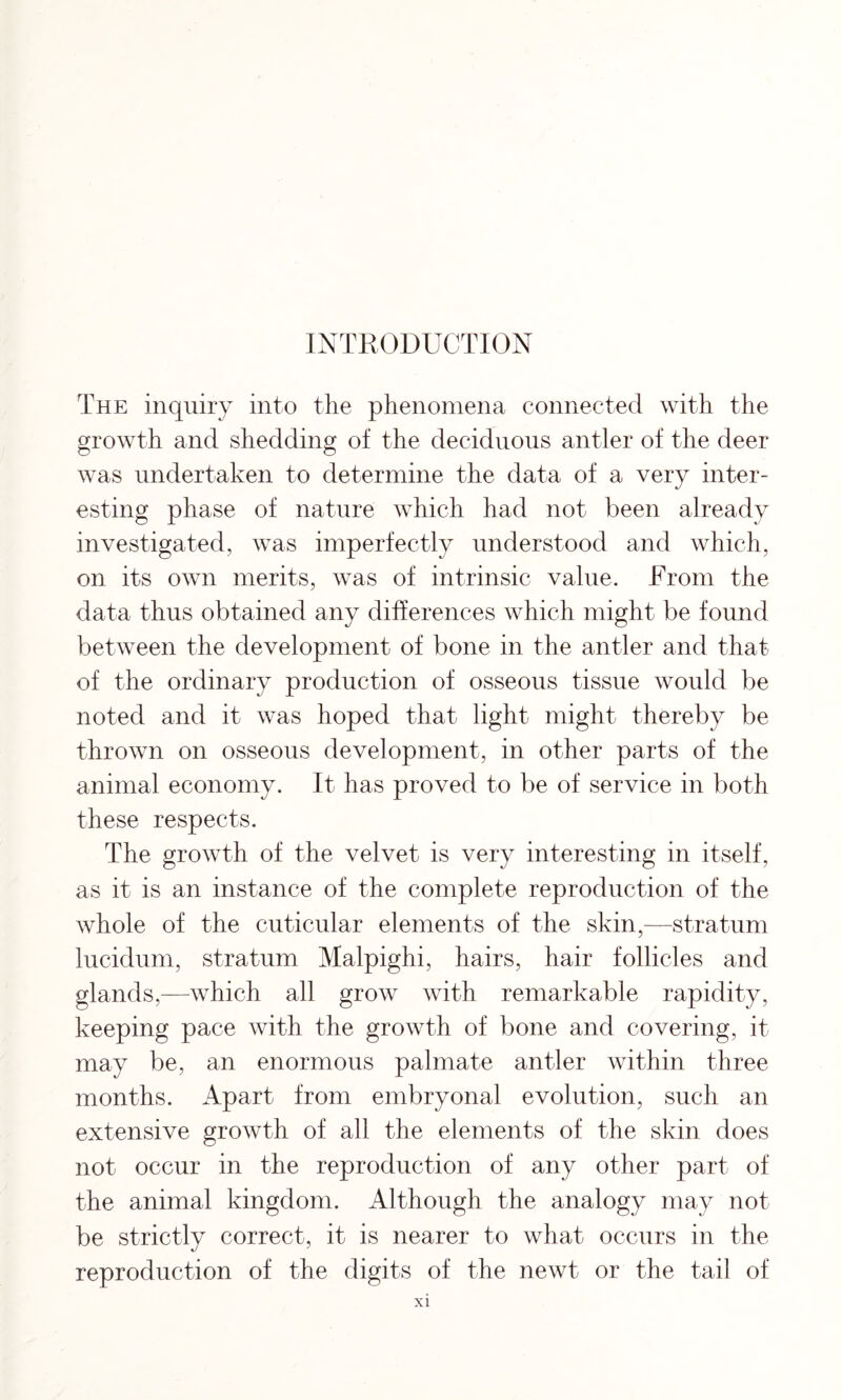 INTRODUCTION The inquiry into the phenomena connected with the growth and shedding of the deciduous antler of the deer was undertaken to determine the data of a very inter- esting phase of nature which had not been already investigated, was imperfectly understood and which, on its own merits, was of intrinsic value. From the data thus obtained any differences which might be found between the development of bone in the antler and that of the ordinary production of osseous tissue would be noted and it was hoped that light might thereby be thrown on osseous development, in other parts of the animal economy. It has proved to be of service in both these respects. The growth of the velvet is very interesting in itself, as it is an instance of the complete reproduction of the whole of the cuticular elements of the skin,—stratum lucidum, stratum Malpighi, hairs, hair follicles and glands,—which all grow with remarkable rapidity, keeping pace with the growth of bone and covering, it may be, an enormous palmate antler within three months. Apart from embryonal evolution, such an extensive growth of all the elements of the skin does not occur in the reproduction of any other part of the animal kingdom. Although the analogy may not be strictly correct, it is nearer to what occurs in the reproduction of the digits of the newt or the tail of