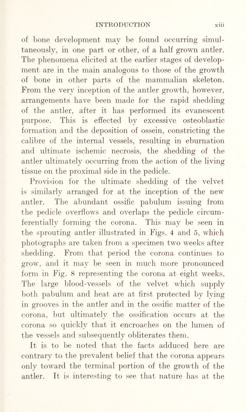 of bone development may be found occurring simul- taneously, in one part or other, of a half grown antler. The phenomena elicited at the earlier stages of develop- ment are in the main analogous to those of the growth of bone in other parts of the mammalian skeleton. From the very inception of the antler growth, however, arrangements have been made for the rapid shedding of the antler, after it has performed its evanescent purpose. This is effected by excessive osteoblastic formation and the deposition of ossein, constricting the calibre of the internal vessels, resulting in eburnation and ultimate ischemic necrosis, the shedding of the antler ultimately occurring from the action of the living tissue on the proximal side in the pedicle. Provision for the ultimate shedding of the velvet is similarly arranged for at the inception of the new antler. The abundant ossific pabulum issuing from the pedicle overflows and overlaps the pedicle circum- ferentially forming the corona. This may be seen in the sprouting antler illustrated in Figs. 4 and 5, which photographs are taken from a specimen two weeks after shedding. From that period the corona continues to grow, and it may be seen in much more pronounced form in Fig. 8 representing the corona at eight weeks. The large blood-vessels of the velvet which supply both pabulum and heat are at first protected by lying in grooves in the antler and in the ossific matter of the corona, but ultimately the ossification occurs at the corona so quickly that it encroaches on the lumen of the vessels and subsequently obliterates them. It is to be noted that the facts adduced here are contrary to the prevalent belief that the corona appears only toward the terminal portion of the growth of the antler. It is interesting to see that nature has at the