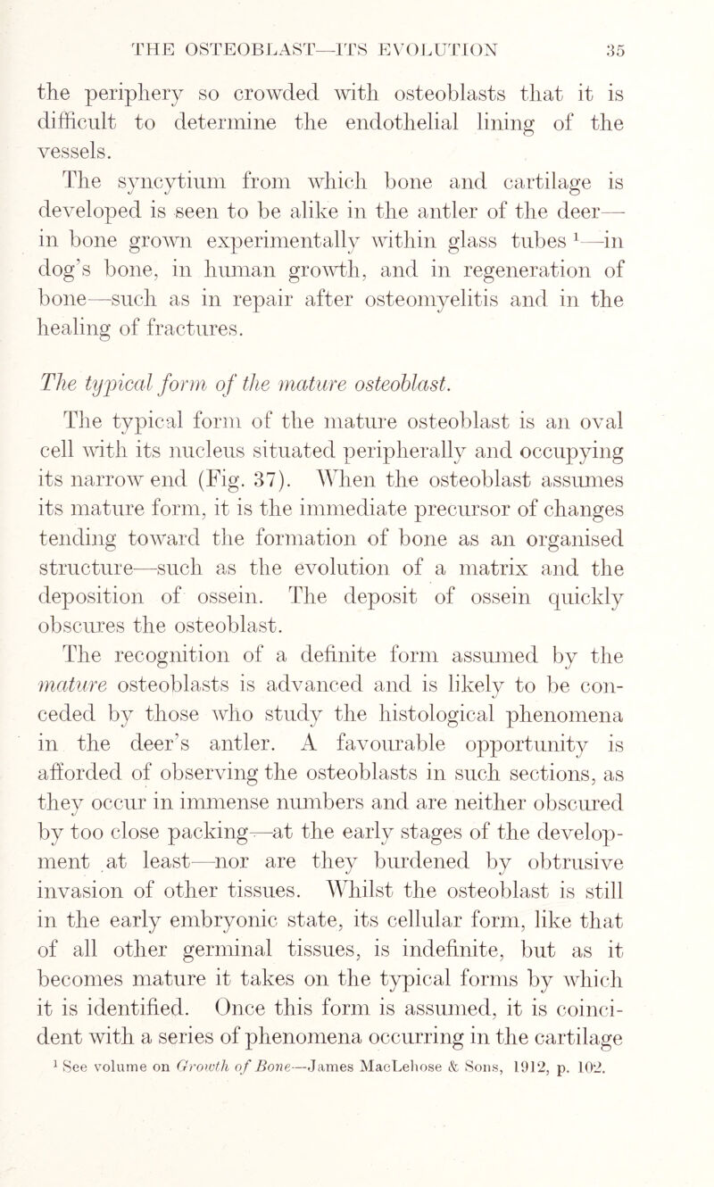 the periphery so crowded with osteoblasts that it is difficult to determine the endothelial lining of the vessels. The syncytium from which bone and cartilage is developed is seen to be alike in the antler of the deer— in bone grown experimentally within glass tubes 1—in dog's bone, in human growth, and in regeneration of bone—such as in repair after osteomyelitis and in the healing of fractures. The typical form of the mature osteoblast. The typical form of the mature osteoblast is an oval cell with its nucleus situated peripherally and occupying its narrow end (Fig. 37). When the osteoblast assumes its mature form, it is the immediate precursor of changes tending toward the formation of bone as an organised structure—such as the evolution of a matrix and the deposition of ossein. The deposit of ossein quickly obscures the osteoblast. The recognition of a definite form assumed by the mature osteoblasts is advanced and is likely to be con- ceded by those who study the histological phenomena in the deer’s antler. A favourable opportunity is afforded of observing the osteoblasts in such sections, as they occur in immense numbers and are neither obscured by too close packing—at the early stages of the develop- ment at least—nor are they burdened by obtrusive invasion of other tissues. Whilst the osteoblast is still in the early embryonic state, its cellular form, like that of all other germinal tissues, is indefinite, but as it becomes mature it takes on the typical forms by which it is identified. Once this form is assumed, it is coinci- dent with a series of phenomena occurring in the cartilage 1 See volume on Growth of Bone—James MacLehose & Sons, 1912, p. 102.