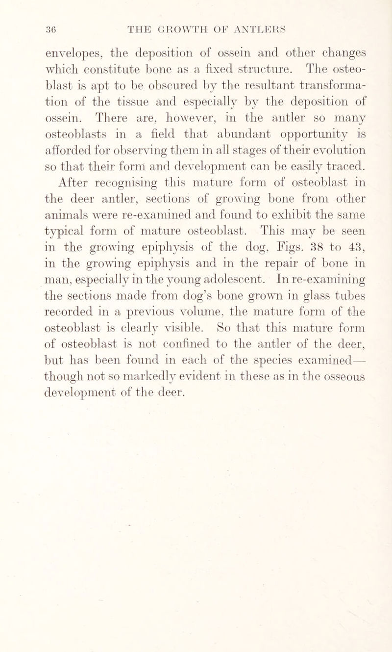 envelopes, the deposition of ossein and other changes which constitute hone as a fixed structure. The osteo- blast is apt to be obscured by the resultant transforma- tion of the tissue and especially by the deposition of ossein. There are, however, in the antler so many osteoblasts in a field that abundant opportunity is afforded for observing them in all stages of their evolution so that their form and development can be easily traced. After recognising this mature form of osteoblast in the deer antler, sections of growing bone from other animals were re-examined and found to exhibit the same typical form of mature osteoblast. This may be seen in the growing epiphysis of the dog, Figs. 38 to 43, in the growing epiphysis and in the repair of bone in man, especially in the young adolescent. In re-examining the sections made from dog’s bone grown in glass tubes recorded in a previous volume, the mature form of the osteoblast is clearly visible. So that this mature form of osteoblast is not confined to the antler of the deer, but has been found in each of the species examined though not so markedly evident in these as in the osseous o «y development of the deer.