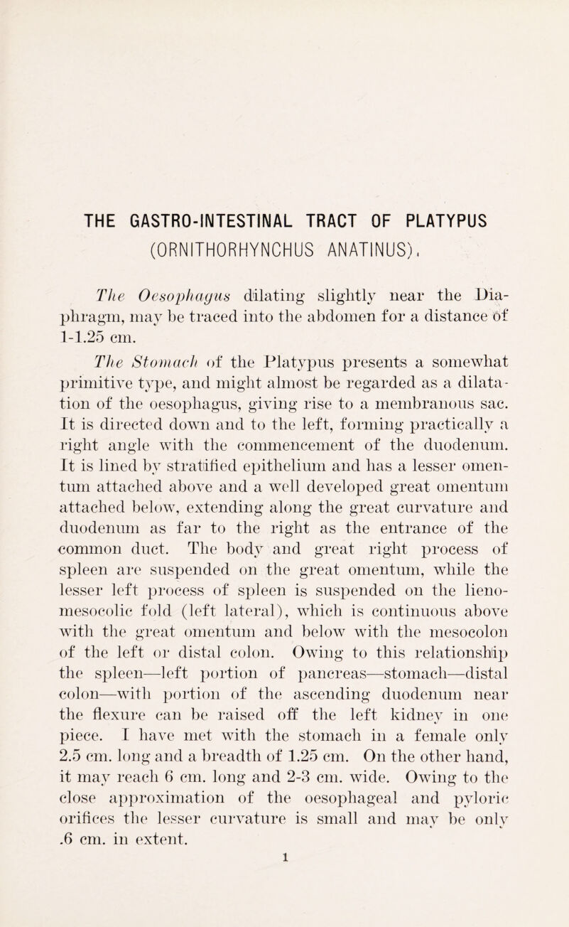 THE GASTRO-INTESTINAL TRACT OF PLATYPUS (ORNITHORHYNCHUS ANATINUS), The Oesophagus dilating slightly near the Dia- phragm, may be traced into the abdomen for a distance of 1-1.25 cm. The Stomach of the Platypus presents a somewhat primitive type, and might almost be regarded as a dilata- tion of the oesophagus, giving rise to a membranous sac. It is directed down and to the left, forming practically a right angle with the commencement of the duodenum. It is lined by stratified epithelium and has a lesser omen- tum attached above and a well developed great omentum attached below, extending along the great curvature and duodenum as far to the right as the entrance of the common duct. The body and great right process of spleen are suspended on the great omentum, while the lesser left process of spleen is suspended on the lieno- mesocolic fold (left lateral), which is continuous above with the great omentum and below with the mesocolon of the left or distal colon. Owing to this relationship the spleen—left portion of pancreas—stomach—distal colon—with portion of the ascending duodenum near the flexure can be raised off the left kidnev in one piece. I have met with the stomach in a female only 2.5 cm. long and a breadth of 1.25 cm. On the other hand, it may reach 6 cm. long and 2-3 cm. wide. Owing to the close approximation of the oesophageal and pyloric orifices the lesser curvature is small and may be only .6 cm. in extent.