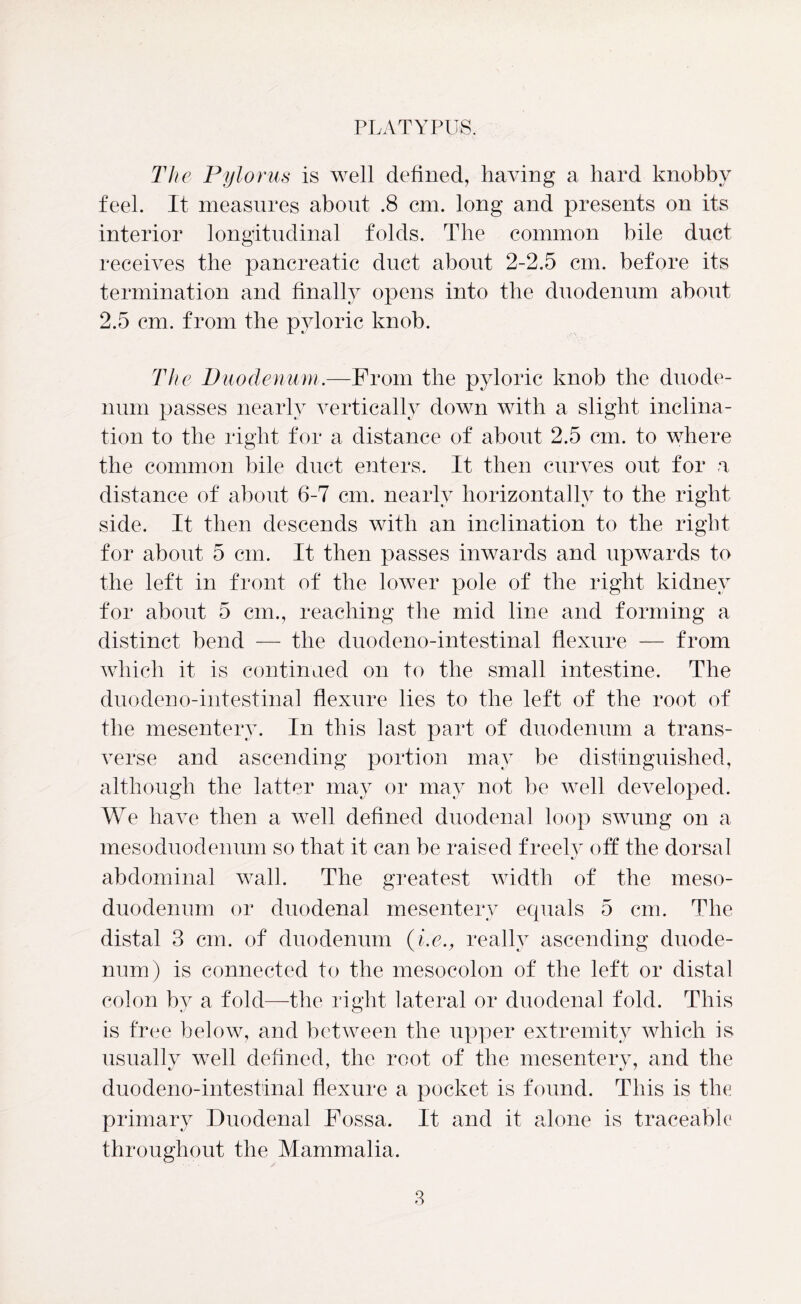 The Pylorus is well defined, having a hard knobby feel. It measures about .8 cm. long and presents on its interior longitudinal folds. The common bile duct receives the pancreatic duct about 2-2.5 cm. before its termination and finally opens into the duodenum about 2.5 cm. from the pyloric knob. The Duodenum.—From the pyloric knob the duode- num passes nearly vertically down with a slight inclina- tion to the right for a distance of about 2.5 cm. to where the common bile duct enters. It then curves out for a distance of about 6-7 cm. nearly horizontally to the right side. It then descends with an inclination to the right for about 5 cm. It then passes inwards and upwards to the left in front of the lower pole of the right kidney for about 5 cm., reaching the mid line and forming a distinct bend — the duodeno-intestinal flexure — from which it is continued on to the small intestine. The duodeno-intestinal flexure lies to the left of the root of the mesentery. In this last part of duodenum a trans- verse and ascending portion may be distinguished, although the latter may or may not be well developed. We have then a well defined duodenal loop swung on a mesoduodenum so that it can be raised freely off the dorsal abdominal wall. The greatest width of the meso- duodenum or duodenal mesentery equals 5 cm. The distal 3 cm. of duodenum (i.e., really ascending duode- num) is connected to the mesocolon of the left or distal colon by a fold—the right lateral or duodenal fold. This is free below, and between the upper extremity which is usually well defined, the root of the mesentery, and the duodeno-intestinal flexure a pocket is found. This is the primary Duodenal Fossa. It and it alone is traceable throughout the Mammalia.