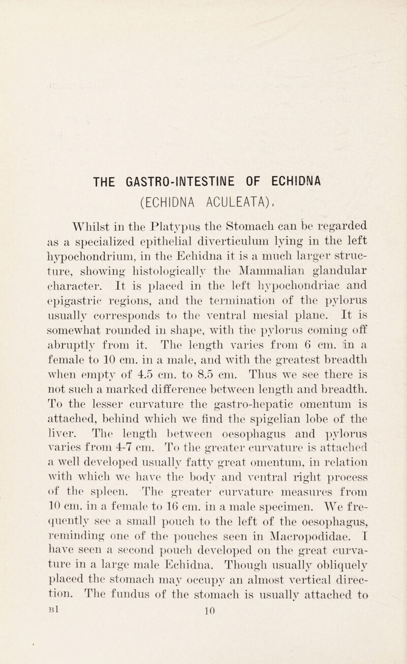 THE GASTRO-INTESTINE OF ECHIDNA (ECHIDNA ACULEATA), Whilst in the Platypus the Stomach can be regarded as a specialized epithelial diverticulum lying in the left hypochondrium, in the Echidna it is a much larger struc- ture, showing histologically the Mammalian glandular character. It is placed in the left hypochondriac and epigastric regions, and the termination of the pylorus usually corresponds to the ventral mesial plane. It is somewhat rounded in shape, with the pylorus coming off abruptly from it. The length varies from 6 cm. in a female to 10 cm. in a male, and with the greatest breadth when empty of 4.5 cm. to 8.5 cm. Thus we see there is not such a marked difference between length and breadth. To the lesser curvature the gastro-hepatic omentum is attached, behind which we find the spigelian lobe of the liver. The length between oesophagus and pylorus varies from 4-7 cm. To the greater curvature is attached a well developed usually fatty great omentum, in relation with which we have the body and ventral right process of the spleen. The greater curvature measures from 10 cm. in a female to 16 cm. in a male specimen. We fre- quently see a small pouch to the left of the oesophagus, reminding one of the pouches seen in Macropodidae. I have seen a second pouch developed on the great curva- ture in a large male Echidna. Though usually obliquely placed the stomach may occupy an almost vertical direc- tion. The fundus of the stomach is usually attached to B1