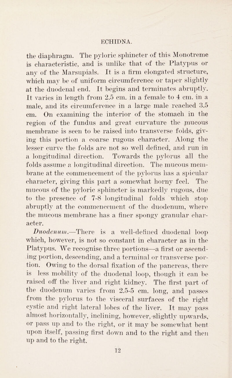 the diaphragm. The pyloric sphincter of this Monotreme is characteristic, and is unlike that of the Platypus or any of the Marsupials. It is a firm elongated structure, which may be of uniform circumference or taper slightly at the duodenal end. It begins and terminates abruptly. It varies in length from 2.5 cm. in a female to 4 cm. in a male, and its circumference in a large male reached 3.5 cm. On examining the interior of the stomach in the region of the fundus and great curvature the mucous membrane is seen to be raised into transverse folds, giv- ing this portion a coarse rugous character. Along the lesser curve the folds are not so well defined, and run in a longitudinal direction. Towards the pylorus all the folds assume a longitudinal direction. The mucous mem- brane at the commencement of the pylorus has a spicular character, giving this part a somewhat horny feel. The mucous of the pyloric sphincter is markedly rugous, due to the presence of 7-8 longitudinal folds which stop abruptly at the commencement of the duodenum, where the mucous membrane has a finer spongy granular char- acter. Duodenum.—There is a well-defined duodenal loop which, however, is not so constant in character as in the Platypus. We recognise three portions—a first or ascend- ing portion, descending, and a terminal or transverse por- tion. Owing to the dorsal fixation of the pancreas, there is less mobility of the duodenal loop, though it can be raised off the liver and right kidney. The first part of the duodenum varies from 2.5-5 cm. long, and passes from the pylorus to the visceral surfaces of the right cystic and right lateral lobes of the liver. It may pass almost horizontally, inclining, however, slightly upwards, or pass up and to the right, or it may be somewhat bent upon itself, passing first down and to the right and then up and to the right.