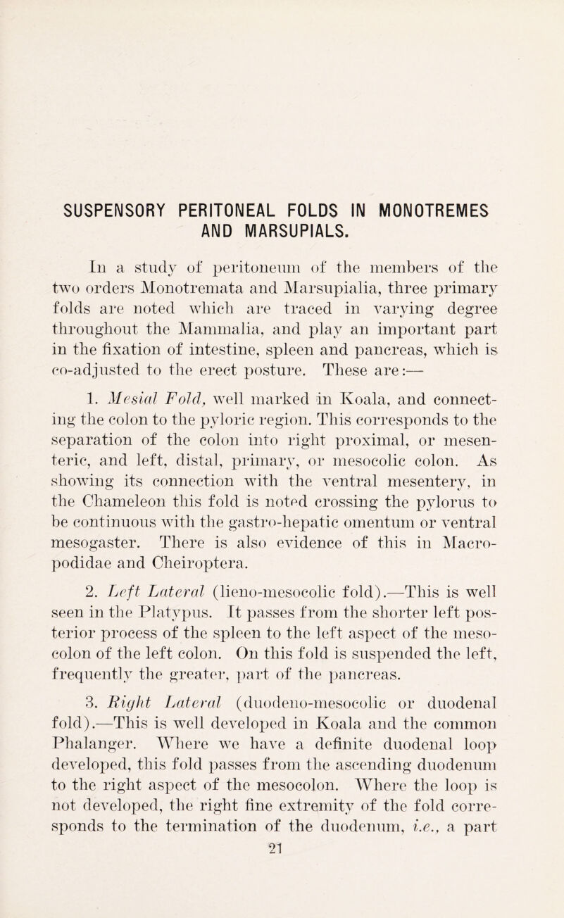 SUSPENSORY PERITONEAL FOLDS IN MONOTREMES AND MARSUPIALS. In a study of peritoneum of the members of the two orders Monotremata and Marsupialia, three primary folds are noted which are traced in varying degree throughout the Mammalia, and play an important part in the fixation of intestine, spleen and pancreas, which is co-adjusted to the erect posture. These are:— 1. Mesial Fold, well marked in Koala, and connect- ing the colon to the pyloric region. This corresponds to the separation of the colon into right proximal, or mesen- teric, and left, distal, primary, or mesocolic colon. As showing its connection with the ventral mesentery, in the Chameleon this fold is noted crossing the pylorus to be continuous with the gastro-hepatic omentum or ventral mesogaster. There is also evidence of this in Macro- podidae and Cheiroptera. 2. Left Lateral (lieno-mesocolic fold).—This is well seen in the Platypus. It passes from the shorter left pos- terior process of the spleen to the left aspect of the meso- colon of the left colon. On this fold is suspended the left, frequently the greater, part of the pancreas. 3. Bight Lateral (duodeno-mesocolic or duodenal fold).—This is well developed in Koala and the common Phalanger. Where we have a definite duodenal loop developed, this fold passes from the ascending duodenum to the right aspect of the mesocolon. Where the loop is not developed, the right fine extremity of the fold corre- sponds to the termination of the duodenum, i.e., a part