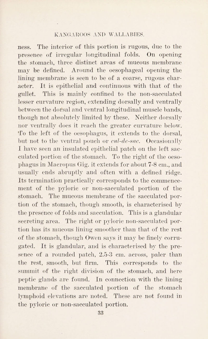 ness. The interior of this portion is rugous, due to the presence of irregular longitudinal folds. On opening the stomach, three distinct areas of mucous membrane may be defined. Around the oesophageal opening the lining membrane is seen to be of a coarse, rugous char- acter. It is epithelial and continuous with that of the gullet. This is mainly confined to the non-sacculated lesser curvature region, extending dorsally and ventrally between the dorsal and ventral longitudinal muscle bands, though not absolutely limited by these. Neither dorsally nor ventrally does it reach the greater curvature below. To the left of the oesophagus, it extends to the dorsal, but not to the ventral pouch or cul-de-sac. Occasionally I have seen an insulated epithelial patch on the left sac- culated portion of the stomach. To the right of the oeso- phagus in Macropus Grig, it extends for about 7-8 cm., and usually ends abruptly and often with a defined ridge. Its termination practically corresponds to the commence- ment of the pyloric or non-sacculated portion of the stomach. The mucous membrane of the sacculated por- tion of the stomach, though smooth, is characterised by the presence of folds and sacculation. This is a glandular secreting area. The right or pyloric non-sacculated por- tion has its mucous lining smoother than that of the rest of the stomach, though Owen says it may be finely corru- gated. It is glandular, and is characterised by the pre- sence of a rounded patch, 2.5-3 cm. across, paler than the rest, smooth, but firm. This corresponds to the summit of the right division of the stomach, and here peptic glands are found. In connection with the lining membrane of the sacculated portion of the stomach lymphoid elevations are noted. These are not found in the pyloric or non-sacculated portion.