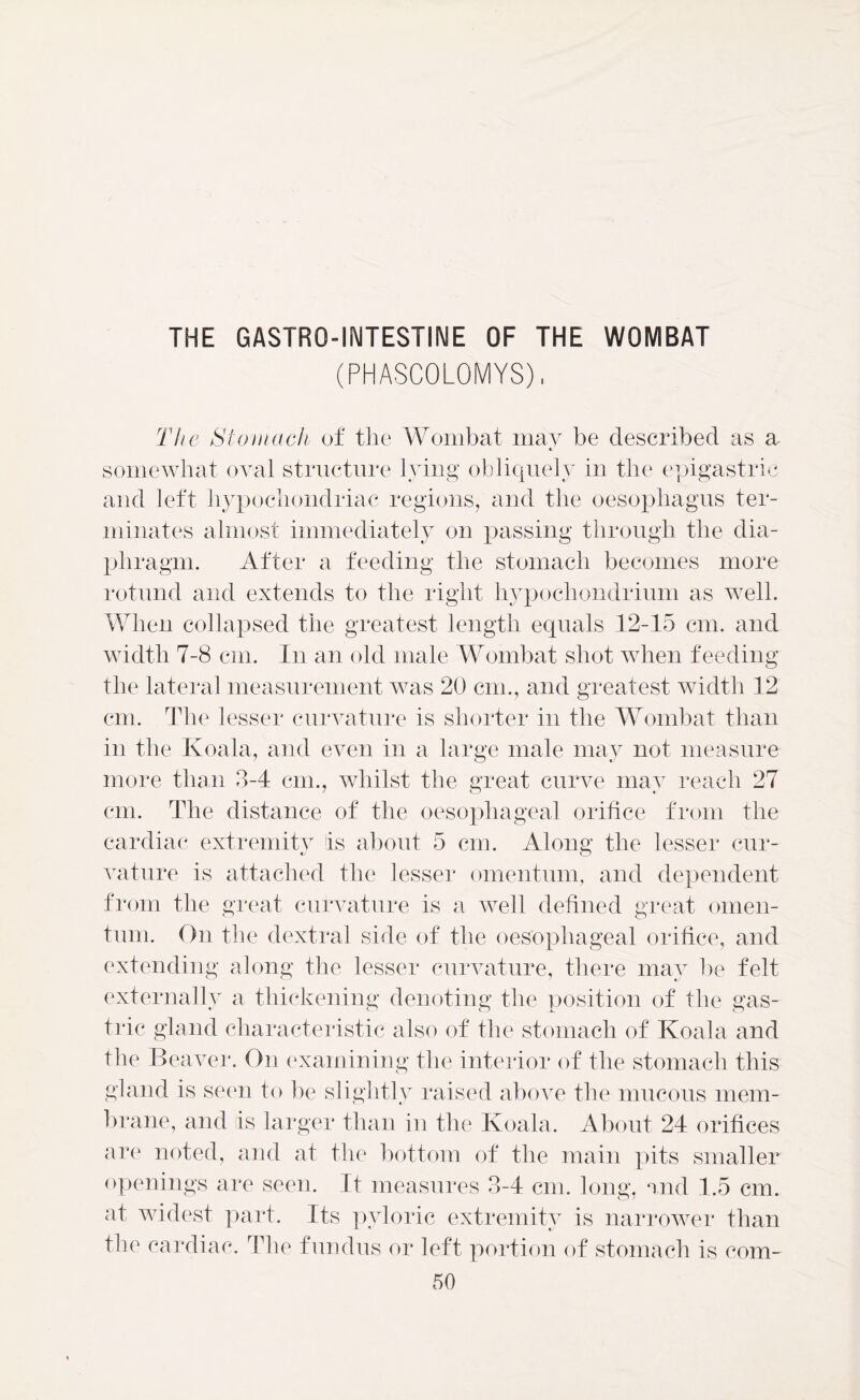 THE GASTRO-INTESTINE OF THE WOMBAT (PHASCOLOMYS), The Stomach of the Wombat may be described as a somewhat oval structure lying obliquely in the epigastric and left hypochondriac regions, and the oesophagus ter- minates almost immediately on passing through the dia- phragm. After a feeding the stomach becomes more rotund and extends to the right hypochondrium as well. When collapsed the greatest length equals 12-15 cm. and width 7-8 cm. In an old male Wombat shot when feeding the lateral measurement was 20 cm., and greatest width 12 cm. The lesser curvature is shorter in the Wombat than in the Koala, and even in a large male may not measure more than 3-4 cm., whilst the great curve may reach 27 cm. The distance of the oesophageal orifice from the cardiac extremity is about 5 cm. Along the lesser cur- vature is attached the lesser omentum, and dependent from the great curvature is a well defined great omen- tum. On the dextral side of the oesophageal orifice, and extending along the lesser curvature, there may be felt externally a thickening denoting the position of the gas- trie gland characteristic also of the stomach of Koala and the Beaver. On examining the interior of the stomach this gland is seen to be slightly raised above the mucous mem- brane, and is larger than in the Koala. About 24 orifices are noted, and at the bottom of the main pits smaller openings are seen. It measures 3-4 cm. long, and 1.5 cm. at widest part. Its pyloric extremity is narrower than the cardiac. The fundus or left portion of stomach is com-