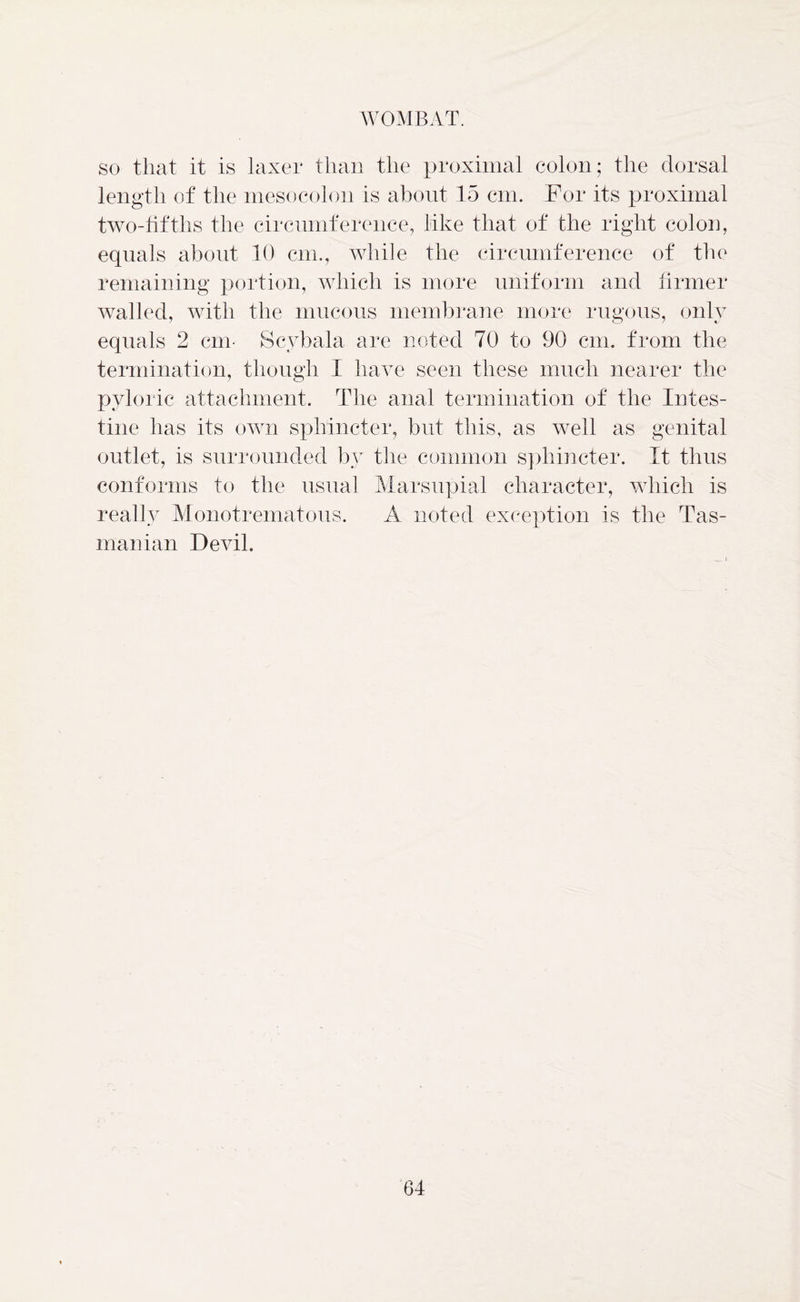 so that it is laxer than the proximal colon; the dorsal length of the mesocolon is about 15 cm. For its proximal two-fifths the circumference, like that of the right colon, equals about 10 cm., while the circumference of the remaining portion, which is more uniform and firmer walled, with the mucous membrane more rugous, only equals 2 cm- Scybala are noted 70 to 90 cm. from the termination, though I have seen these much nearer the pyloric attachment. The anal termination of the Intes- tine has its own sphincter, but this, as well as genital outlet, is surrounded by the common sphincter. It thus conforms to the usual Marsupial character, which is really Monotrematous. A noted exception is the Tas- manian Devil.
