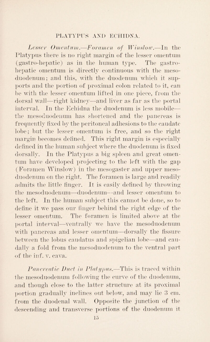 Lesser Omentum.—Foramen of Winslow.—In the Platypus there is no right margin of the lesser omentum (gastro-liepatic) as in the human type. The gastro- liepatic omentum is directly continuous with the meso- duodenum; and this, with the duodenum which it sup- ports and the portion of proximal colon related to it, can he with the lesser omentum lifted in one piece, from the dorsal wall—right kidney—and liver as far as the portal interval. In the Echidna the duodenum is less mobile— the mesoduodenum has shortened and the pancreas is frequently fixed by the peritoneal adhesions to the caudate lobe; but the lesser omentum is free, and so the right margin becomes defined. This right margin is especially defined in the human subject where the duodenum is fixed dorsally. In the Platypus a big spleen and great omen- tum have developed projecting to the left with the gap (Foramen Winslow) in the mesogaster and upper meso- duodenum on the right. The foramen is large and readily admits the little finger. It is easily defined by throwing the mesoduodenum—duodenum—and lesser omentum to the left. In the human subject this cannot be done, so to define it we pass our finger behind the right edge of the lesser omentum. The foramen is limited above at the portal interval—ventrally we have the mesoduodenum with pancreas and lesser omentum—dorsally the fissure between the lobus caudatus and spigelian lobe—and cau- dally a fold from the mesoduodenum to the ventral part of the inf. v. cava. Pancreatic Duct in Platypus.—This is traced within the mesoduodenum following the curve of the duodenum, and though close to the latter structure at its proximal portion gradually inclines out below, and may lie 3 cm. from the duodenal wall. Opposite the junction of the descending and transverse portions of the duodenum it