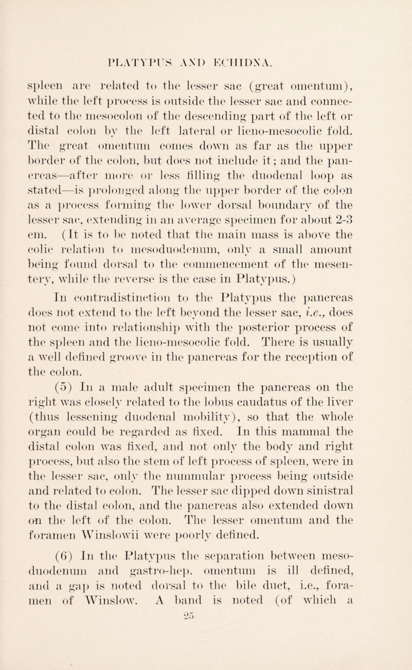 spleen are related to the lesser sac (great omentum), while the left process is outside the lesser sac and connec- ted to the mesocolon of the descending part of the left or distal colon by the left lateral or lieno-mesocolic fold. •' The great omentum comes down as far as the upper border of the colon, but does not include it; and the pan- creas—after more or less filling the duodenal loop as stated—is prolonged along the upper border of the colon as a process forming the lower dorsal boundary of the lesser sac, extending in an average specimen for about 2-3 cm. (It is to be noted that the main mass is above the colic relation to mesoduodenum, only a small amount being found dorsal to the commencement of the mesen- tery, while the reverse is the case in Platypus.) In contradistinction to the Platypus the pancreas does not extend to the left beyond the lesser sac, i.e., does not come into relationship with the posterior process of the spleen and the lieno-mesocolic fold. There is usually a well defined groove in the pancreas for the reception of the colon. (5) In a male adult specimen the pancreas on the right was closely related to the lobus caudatus of the liver (thus lessening duodenal mobility), so that the whole organ could be regarded as fixed. In this mammal the distal colon was tixed, and not only the body and right process, but also the stem of left process of spleen, were in the lesser sac, only the nummular process being outside and related to colon. The lesser sac dipped down sinistral to the distal colon, and the pancreas also extended down on the left of the colon. The lesser omentum and the foramen Winslowii were poorly defined. (6) In the Platypus the separation between meso- duodenum and gastro-hep. omentum is ill defined, and a gap is noted dorsal to the bile duct, i.e., fora- men of Winslow. A band is noted (of which a