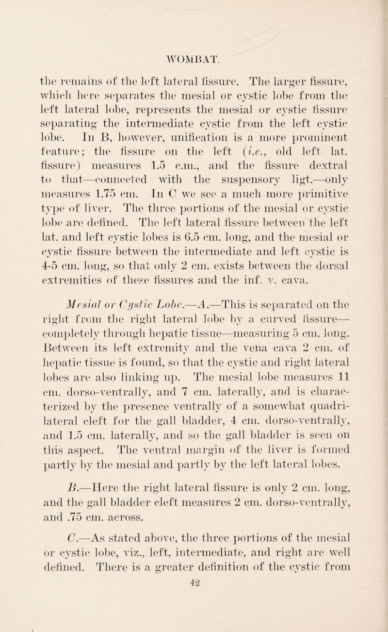 the remains of the left lateral fissure. The larger fissure, which here separates the mesial or cystic lobe from the left lateral lobe, represents the mesial or c}Tstic fissure separating the intermediate cystic from the left cystic lobe. In B, however, unification is a more prominent feature; the fissure on the left (i.e., old left lat. fissure) measures 1.5 c.m., and the fissure dextral to that—connected with the suspensory ligt.—only measures 1.75 cm. In C we see a much more primitive type of liver. The three portions of the mesial or cystic lobe are defined. The left lateral fissure between the left lat. and left cystic lobes is 6.5 cm. long, and the mesial or cystic fissure between the intermediate and left cystic is 4-5 cm. long, so that only 2 cm. exists between the dorsal extremities of these fissures and the inf, v. cava. Mesial or Cystic Lobe.—A.—This is separated on the right from the right lateral lobe by a curved fissure—- completely through hepatic tissue—measuring 5 cm. long. Between its left extremitv and the vena cava 2 cm. of «/ hepatic tissue is found, so that the cystic and right lateral lobes are also linking up. The mesial lobe measures 11 cm. dorso-ventrally, and 7 cm. laterally, and is charac- terized by the presence ventrally of a somewhat quadri- lateral cleft for the gall bladder, 4 cm. dorso-ventrally, and 1.5 cm. laterally, and so the gall bladder is seen on this aspect. The ventral margin of the liver is formed partly by the mesial and partly by the left lateral lobes. B. —Here the right lateral fissure is only 2 cm. long, and the gall bladder cleft measures 2 cm. dorso-ventrally, and .75 cm. across. C. —As stated above, the three portions of the mesial or cystic lobe, viz., left, intermediate, and right are well defined. There is a greater definition of the cystic from