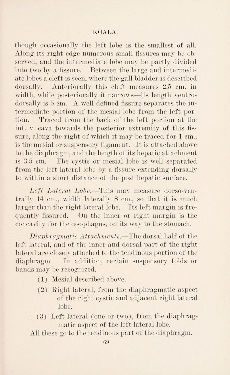 though occasionally the left lobe is the smallest of all. Along its right edge numerous small fissures may be ob- served, and the intermediate lobe may be partly divided into two by a fissure. Between the large and intermedi- ate lobes a cleft is seen, where the gall bladder is described dorsallv. Anteriorallv this cleft measures 2.5 cm. in width, while posteriorally it narrows—its length ventro- dorsally is 5 cm. A well defined fissure separates the in- termediate portion of the mesial lobe from the left por- tion. Traced from the back of the left portion at the inf. v. cava towards the posterior extremity of this fis- sure, along the right of which it may be traced for 1 cm., is the mesial or suspensory ligament. It is attached above to the diaphragm, and the length of its hepatic attachment is 3.5 cm. The cystic or mesial lobe is well separated from the left lateral lobe by a fissure extending dorsallv to within a short distance of the post hepatic surface. Left Lateral Lobe.—This may measure dorso-ven- trallv 14 cm., width laterallv 8 cm., so that it is much larger than the right lateral lobe. Its left margin is fre- quently fissured. On the inner or right margin is the concavity for the oesophagus, on its way to the stomach. Diaphragmatic Attachments.—The dorsal half of the left lateral, and of the inner and dorsal part of the right lateral are closely attached to the tendinous portion of the diaphragm. In addition, certain suspensory folds or bands may be recognized. (1) Mesial described above. (2) Right lateral, from the diaphragmatic aspect of the right cystic and adjacent right lateral lobe. (3) Left lateral (one or two), from the diaphrag- matic aspect of the left lateral lobe. All these go to the tendinous part of the diaphragm.