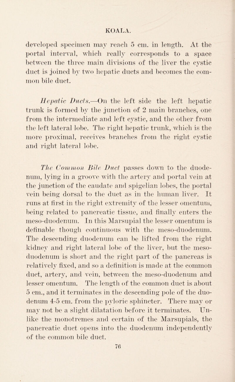 developed specimen may reach 5 cm. in length. At the portal interval, which really corresponds to a space between the three main divisions of the liver the cystic duct is joined by two hepatic ducts and becomes the com- mon bile duct. Hepatic Ducts.—On the left side the left hepatic trunk is formed by the junction of 2 main branches, one from the intermediate and left cystic, and the other from the left lateral lobe. The right hepatic trunk, which is the more proximal, receives branches from the right cystic and right lateral lobe. The Common Bile Duct passes down to the duode- num, lying in a groove with the artery and portal vein at the junction of the caudate and spigelian lobes, the portal vein being dorsal to the duct as in the human liver. It runs at first in the right extremity of the lesser omentum, being related to pancreatic tissue, and finally enters the meso-duodenum. In this Marsupial the lesser omentum is definable though continuous with the meso-duodenum. The descending duodenum can be lifted from the right kidney and right lateral lobe of the liver, but the meso- duodenum is short and the right part of the pancreas is relatively fixed, and so a definition is made at the common duct, artery, and vein, between the meso-duodenum and lesser omentum. The length of the common duct is about 5 cm., and it terminates in the descending pole of the duo- denum 4-5 cm. from the pyloric sphincter. There may or may not be a slight dilatation before it terminates. Un- like the monotremes and certain of the Marsupials, the pancreatic duct opens into the duodenum independently of the common bile duct.