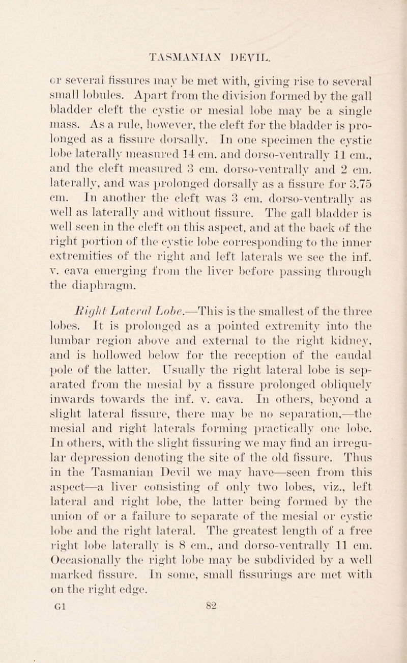 or several fissures may be met with, giving rise to several small lobules. Apart from the division formed by the gall -1- %j o bladder cleft the cystic or mesial lobe may be a single mass. As a rule, however, the cleft for the bladder is pro- longed as a fissure dorsally. In one specimen the cystic lobe laterally measured 14 cm. and dorso-ventrally 11 cm., and the cleft measured 3 cm. dorso-ventrally and 2 cm. laterally, and was prolonged dorsally as a fissure for 3.75 cm. In another the cleft was 3 cm. dorso-ventrally as well as laterally and without fissure. The gall bladder is well seen in the cleft on this aspect, and at the back of the right portion of the cystic lobe corresponding to the inner extremities of the right and left laterals we see the inf. v. cava emerging from the liver before passing through the diaphragm. liight Lateral Lobe.—This is the smallest of the three lobes. It is prolonged as a pointed extremity into the lumbar region above and external to the right kidney, and is hollowed below for the reception of the caudal pole of the latter. Usually the right lateral lobe is sep- arated from the mesial by a fissure prolonged obliquely inwards towards the inf. v. cava. In others, beyond a slight lateral fissure, there may be no separation,—the mesial and right laterals forming practically one lobe. In others, with the slight Assuring we may find an irregu- lar depression denoting the site of the old fissure. Thus in the Tasmanian Devil we may have—seen from this aspect—a liver consisting of only two lobes, viz., left lateral and right lobe, the latter being formed by the union of or a failure to separate of the mesial or cystic lobe and the right lateral. The greatest length of a free right lobe laterallv is 8 cm., and dorso-ventrally 11 cm. Occasionally the right lobe may be subdivided by a well marked fissure. In some, small fissurings are met with on the right edge.