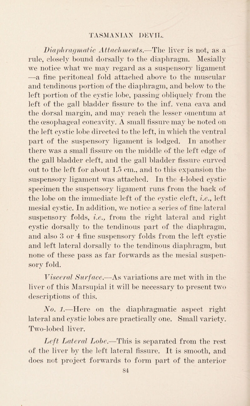 Diaphragmatic Attachments.—The liver is not, as a rule, closely bound dorsal lv to the diaphragm. Mesially we notice what we may regard as a suspensory ligament —a fine peritoneal fold attached above to the muscular and tendinous portion of the diaphragm, and below to the left portion of the cystic lobe, passing obliquely from the left of the gall bladder fissure to the inf. vena cava and the dorsal margin, and may reach the lesser omentum at the oesophageal concavity. A small fissure may be noted on the left cystic lobe directed to the left, in which the ventral part of the suspensory ligament is lodged. In another there was a small fissure on the middle of the left edge of the gall bladder cleft, and the gall bladder fissure curved out to the left for about 1.5 cm., and to this expansion the suspensory ligament was attached. In the 4-lobed cystic specimen the suspensory ligament runs from the back of the lobe on the immediate left of the cystic cleft, i.e., left mesial cystic. In addition, we notice a series of fine lateral suspensory folds, i.ev from the right lateral and right cystic dorsally to the tendinous part of the diaphragm, and also 3 or 4 fine suspensory folds from the left cystic and left lateral dorsally to the tendinous diaphragm, but none of these pass as far forwards as the mesial suspen- sory fold. «/ Visceral Surface.—As variations are met with in the liver of this Marsupial it will be necessary to present two descriptions of this. No. 1.—Here on the diaphragmatic aspect right lateral and cystic lobes are practically one. Small variety. Two-lobed liver. Left Lateral Lobe.—This is separated from the rest of the liver by the left lateral fissure. It is smooth, and does not project forwards to form part of the anterior