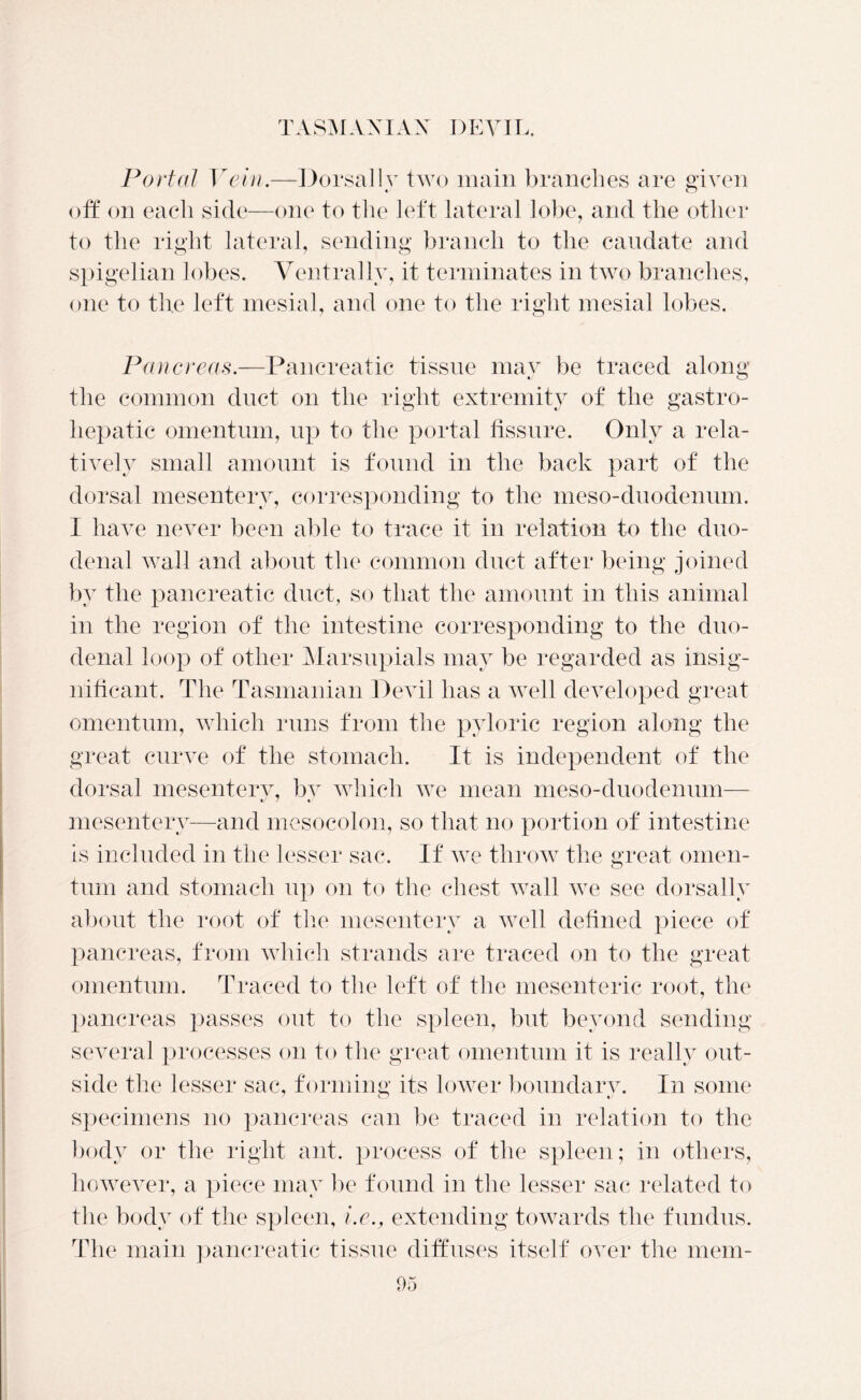 Ported Vein.—Dorsallv two main branches are given off on each side—one to the left lateral lobe, and the other to the right lateral, sending branch to the caudate and spigelian lobes. Ventrally, it terminates in two branches, one to the left mesial, and one to the right mesial lobes. Pancreas.—Pancreatic tissue may be traced along the common duct on the right extremity of the gastro- liepatic omentum, up to the portal fissure. Only a rela- tively small amount is found in the back part of the dorsal mesentery, corresponding to the meso-duodenum. I have never been able to trace it in relation to the duo- denal wall and about the common duct after being joined by the pancreatic duct, so that the amount in this animal in the region of the intestine corresponding to the duo- denal loop of other Marsupials may be regarded as insig- nificant. The Tasmanian Devil lias a well developed great omentum, which runs from the pyloric region along the great curve of the stomach. It is independent of the dorsal mesentery, by which we mean meso-duodenum—- mesentery—and mesocolon, so that no portion of intestine is included in the lesser sac. If we throw the great omen- tum and stomach up on to the chest wall we see dorsally about the root of the mesentery a well defined piece of pancreas, from which strands are traced on to the great omentum. Traced to the left of the mesenteric root, the pancreas passes out to the spleen, but beyond sending- several processes on to the great omentum it is really out- side the lesser sac, forming its lower boundary. In some specimens no pancreas can be traced in relation to the body or the right ant. process of the spleen; in others, however, a piece may lie found in the lesser sac related to the body of the spleen, i.e., extending towards the fundus. The main pancreatic tissue diffuses itself over the mem-