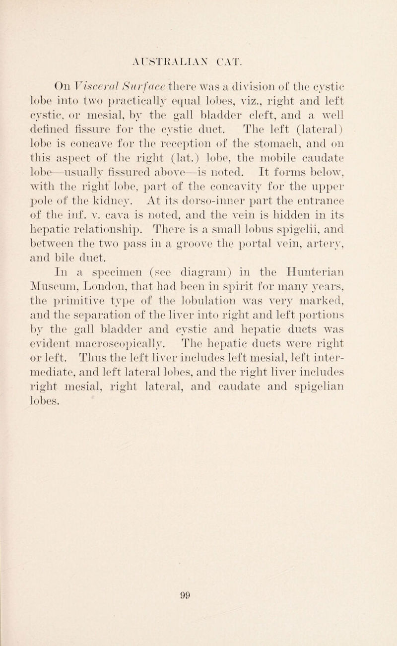 AUSTRALIAN CAT. On Visceral Surface there was a division of the cystic lobe into two practically equal lobes, viz., right and left cvstic, or mesial, bv the gall bladder cleft, and a well defined fissure for the cystic dnct. The left (lateral) lobe is concave for the reception of the stomach, and on this aspect of the right (lat.) lobe, the mobile caudate lobe—nsnallv fissured above—is noted. It forms below, with the right lobe, part of the concavity for the upper pole of the kidney. At its dorso-inner part the entrance of the inf. v. cava is noted, and the vein is hidden in its hepatic relationship. There is a small lobus spigelii, and between the two pass in a groove the portal vein, artery, and bile duct. In a specimen (see diagram) in the Hunterian Museum, London, that had been in spirit for many years, the primitive type of the lobulation was very marked, and the separation of the liver into right and left portions by the gall bladder and cystic and hepatic ducts was evident macroscopically. The hepatic ducts were right or left. Thus the left liver includes left mesial, left inter- mediate, and left lateral lobes, and the right liver includes right mesial, right lateral, and caudate and spigelian lobes.