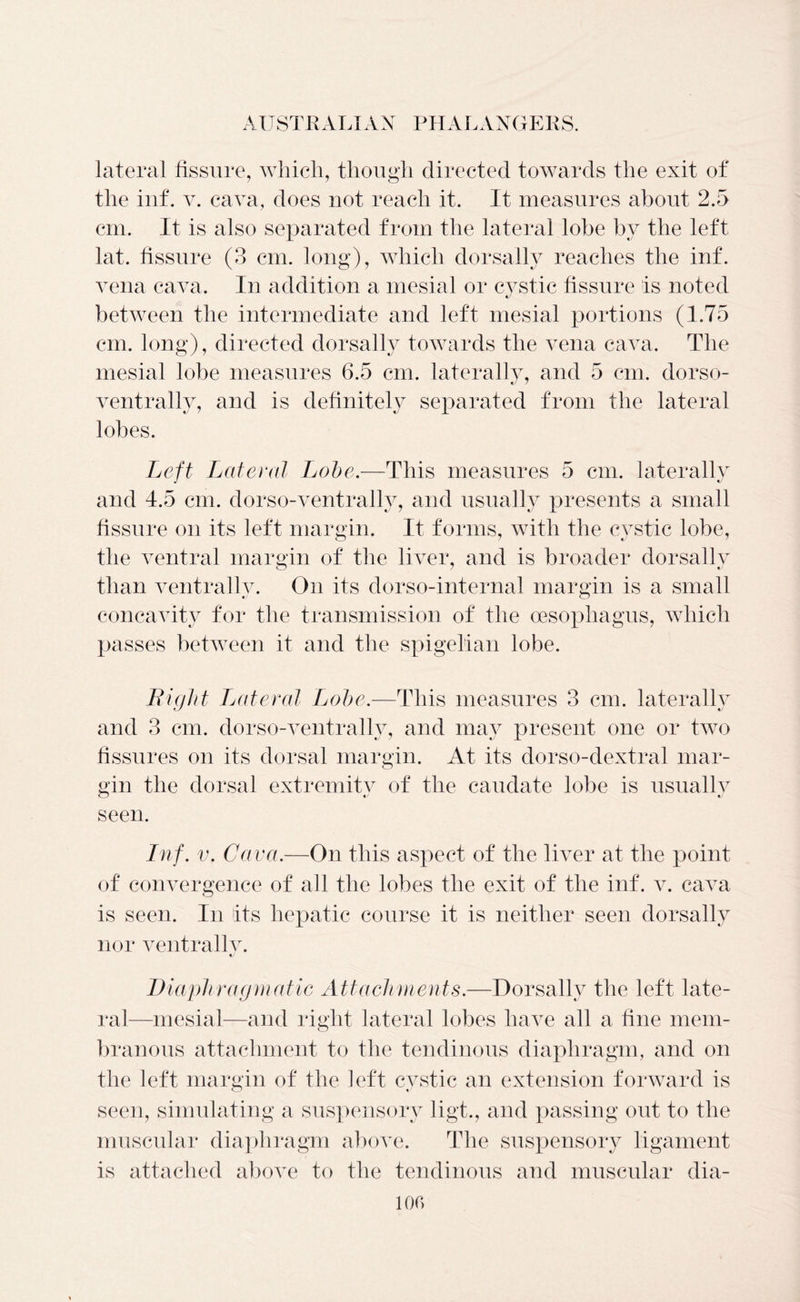 lateral fissure, which, though directed towards the exit of the inf. v. cava, does not reach it. It measures about 2.5 cm. It is also separated from the lateral lobe by the left lat. fissure (3 cm. long), which dorsally reaches the inf. vena cava. In addition a mesial or cystic fissure is noted between the intermediate and left mesial portions (1.75 cm. long), directed dorsally towards the vena cava. The mesial lobe measures 6.5 cm. laterally, and 5 cm. dorso- ventrally, and is definitely separated from the lateral lobes. Left Lateral Lobe.—This measures 5 cm. laterally and 4.5 cm. dorso-ventrally, and usually presents a small fissure on its left margin. It forms, with the cystic lobe, the ventral margin of the liver, and is broader dorsally than ventralSv. On its dorso-internal margin is a small concavity for the transmission of the oesophagus, which passes between it and the spigelian lobe. Bight Lateral Lobe.—This measures 3 cm. laterally and 3 cm. dorso-ventrally, and may present one or two fissures on its dorsal margin. At its dorso-dextral mar- gin the dorsal extremity of the caudate lobe is usually seen. Inf. v. Cava.—On this aspect of the liver at the point of convergence of all the lobes the exit of the inf. v. cava is seen. In its hepatic course it is neither seen dorsally nor ventrallv. Diaphragmatic Attachments.—Dorsally the left late- ral—mesial—and right lateral lobes have all a fine mem- branous attachment to the tendinous diaphragm, and on the left margin of the left cystic an extension forward is < ' * seen, simulating a suspensory ligt., and passing out to the muscular diaphragm above. The suspensory ligament is attached above to the tendinous and muscular dia- 100