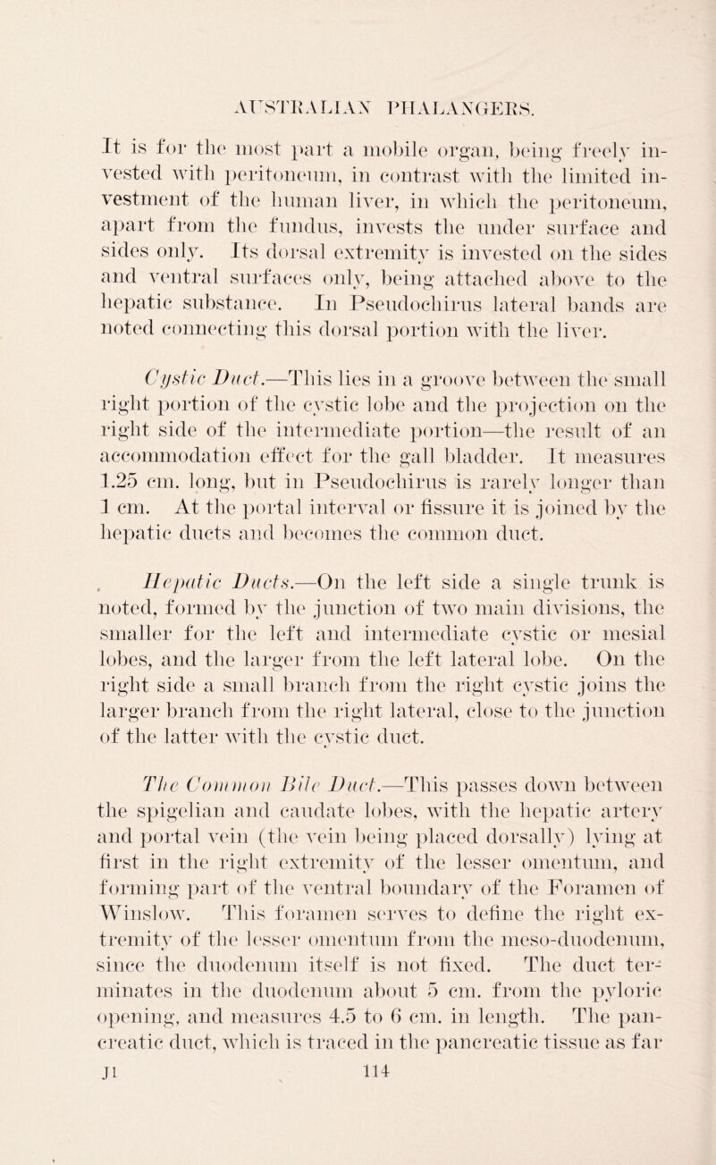 It is for the most part a mobile organ, being freely in- vested with peritoneum, in contrast with the limited in- vestment of the human liver, in which the peritoneum, apart from the fundus, invests the under surface and sides only. Its dorsal extremity is invested on the sides and ventral surfaces only, being attached above to the hepatic substance. In Pseudocliirus lateral bands are noted connecting this dorsal portion with the liver. Cystic Duct.—This lies in a groove between the small right portion of the cystic lobe and the projection on the right side of the intermediate portion—the result of an accommodation effect for the gall bladder. It measures 1.25 cm. long, but in Pseudocliirus is rarely longer than 1 cm. At the portal interval or fissure it is joined by the hepatic ducts and becomes the common duct. Hepatic Ducts.—On the left side a single trunk is noted, formed by the junction of two main divisions, the smaller for the left and intermediate cvstic or mesial lobes, and the larger from the left lateral lobe. On the right side a small branch from the right cystic joins the larger branch from the right lateral, close to the junction of the latter with the cvstic duct. The Com inou Bile Duct.—This passes down between the spigelian and caudate lobes, with the hepatic artery and portal vein (the vein being placed dorsally) lying at first in the right extremity of the lesser omentum, and forming part of the ventral boundary of the Foramen of Winslow. This foramen serves to define the right ex- tremity of the lesser omentum from the meso-duodenum, since the duodenum itself is not fixed. The duct ter- minates in the duodenum about 5 cm. from the pyloric opening, and measures 4.5 to 6 cm. in length. The pan- creatic duct, which is traced in the pancreatic tissue as far