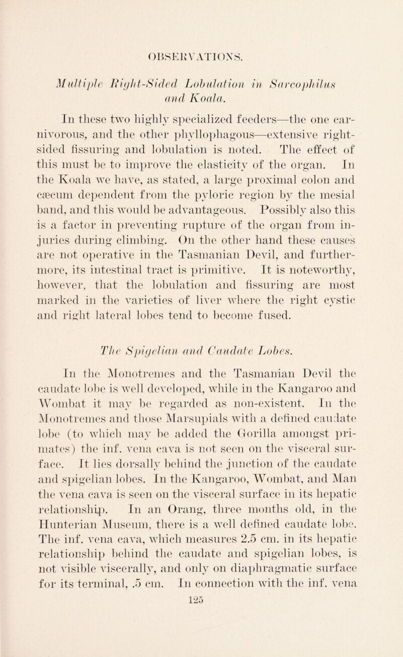 Multiple Bight-Sided Lobulation in Sarcophilus and Koala. In these two highly specialized feeders—the one car- nivorous., and the other phyllophagous—extensive right- sided Assuring and lobulation is noted. The effect of this must be to improve the elasticity of the organ. In the Koala we have, as stated, a large proximal colon and caecum dependent from the pyloric region by the mesial band, and this would be advantageous. Possibly also this is a factor in preventing rupture of the organ from in- juries during climbing. On the other hand these causes are not operative in the Tasmanian Devil, and further- more, its intestinal tract is primitive. It is noteworthy, however, that the lobulation and Assuring are most marked in the varieties of liver where the right cystic and right lateral lobes tend to become fused. The Spigelian and Caudate Lobes. In the Monotremes and the Tasmanian Devil the caudate lobe is well developed, while in the Kangaroo and Wombat it may be regarded as non-existent. In the Monotremes and those Marsupials with a deAned caudate lobe (to which may be added the Gorilla amongst pri- mates) the inf. vena cava is not seen on the visceral sur- face. It lies dorsally behind the junction of the caudate and spigelian lobes. In the Kangaroo, Wombat, and Man the vena cava is seen on the visceral surface in its hepatic relationship. In an Orang, three months old, in the Hunterian Museum, there is a well deAned caudate lobe. The inf. vena cava, which measures 2.5 cm. in its hepatic relationship behind the caudate and spigelian lobes, is not visible viscerally, and only on diaphragmatic surface for its terminal, .5 cm. In connection with the inf. vena