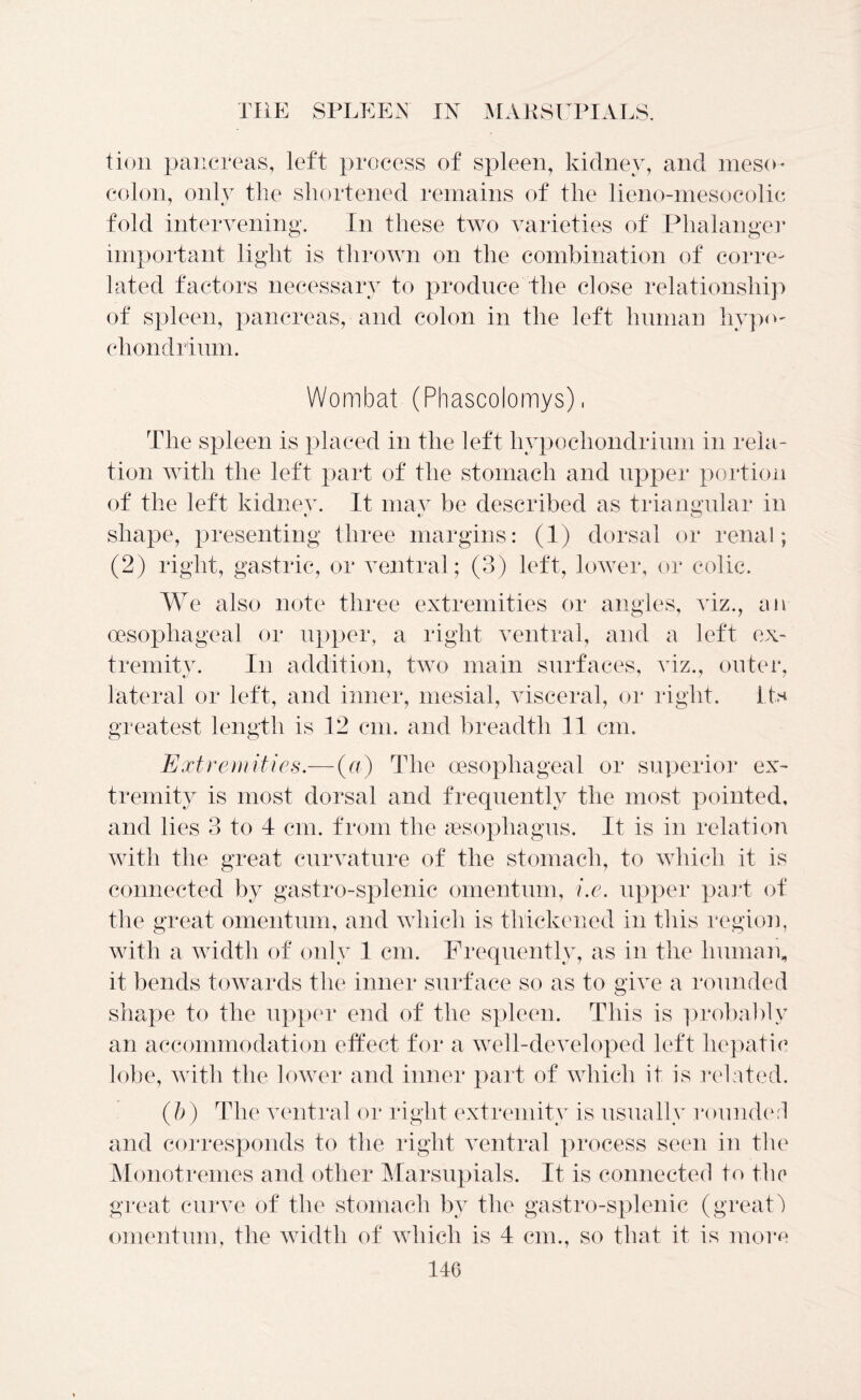 t ion pancreas, left process of spleen, kidney, and meso- colon, only the shortened remains of the lieno-mesocolic fold intervening. In these two varieties of Phalanger important light is thrown on the combination of corre- lated factors necessary to produce the close relationship of spleen, pancreas, and colon in the left human hypo- chondrium. Wombat (Phascolomys), The spleen is placed in the left hypocliondrium in rela- tion with the left part of the stomach and upper portion of the left kidnev. It mav be described as triangular in shape, presenting three margins: (1) dorsal or renal; (2) right, gastric, or ventral; (3) left, lower, or colic. We also note three extremities or angles, viz., an oesophageal or upper, a right ventral, and a left ex- tremity. In addition, two main surfaces, viz., outer, lateral or left, and inner, mesial, visceral, or right. its greatest length is 12 cm. and breadth 11 cm. Extremities.— (a) The oesophageal or superior ex- tremity is most dorsal and frequently the most pointed, and lies 3 to 4 cm. from the aesopliagus. It is in relation with the great curvature of the stomach, to which it is connected by gastro-splenic omentum, i.e. upper part of the great omentum, and which is thickened in this region, with a width of only 1 cm. Frequently, as in the human, it bends towards the inner surface so as to give a rounded shape to the upper end of the spleen. This is probably an accommodation effect for a well-developed left hepatic lobe, with the lower and inner part of which it is related. (b) The ventral or right extremity is usually rounder! and corresponds to the right ventral process seen in the Monotremes and other Marsupials. It is connected to the great curve of the stomach by the gastro-splenic (great 1 omentum, the width of which is 4 cm., so that it is more 140