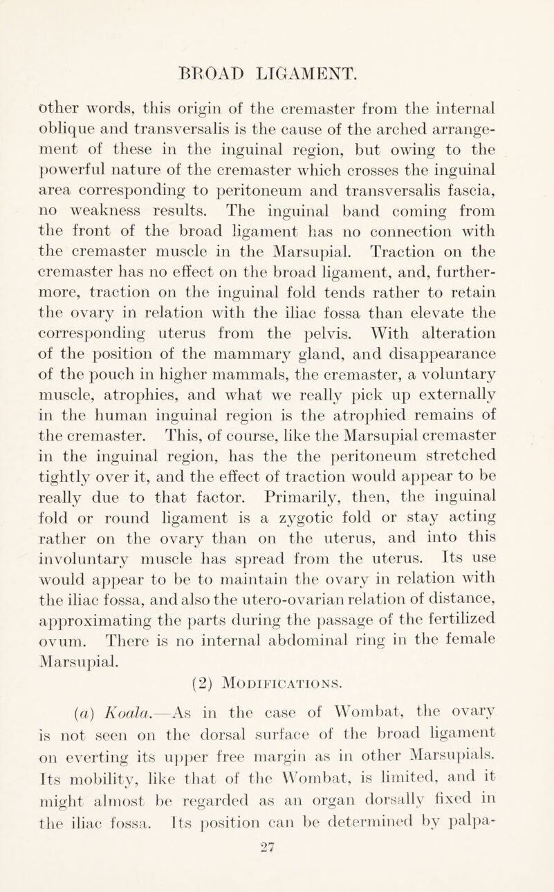 other words, this origin of the cremaster from the internal oblique and transversalis is the cause of the arched arrange- ment of these in the inguinal region, but owing to the powerful nature of the cremaster which crosses the inguinal area corresponding to peritoneum and transversalis fascia, no weakness results. The inguinal band coming from the front of the broad ligament has no connection with the cremaster muscle in the Marsupial. Traction on the cremaster has no effect on the broad ligament, and, further- more, traction on the inguinal fold tends rather to retain the ovary in relation with the iliac fossa than elevate the corresponding uterus from the pelvis. With alteration of the position of the mammary gland, and disappearance of the pouch in higher mammals, the cremaster, a voluntary muscle, atrophies, and what we really pick up externally in the human inguinal region is the atrophied remains of the cremaster. This, of course, like the Marsupial cremaster in the inguinal region, has the the peritoneum stretched tightly over it, and the effect of traction would appear to be really due to that factor. Primarily, then, the inguinal fold or round ligament is a zygotic fold or stay acting rather on the ovary than on the uterus, and into this involuntary muscle has spread from the uterus. Its use would appear to be to maintain the ovary in relation with the iliac fossa, and also the utero-ovarian relation of distance, approximating the parts during the passage of the fertilized ovum. There is no internal abdominal ring in the female Marsupial. (2) Modifications. (a) Koala.—As in the case of Wombat, the ovary is not seen on the dorsal surface of the broad ligament on everting its upper free margin as in other Marsupials. Its mobilitv, like that of the Wombat, is limited, and it might almost be regarded as an organ dorsally fixed in the iliac fossa. Its position can be determined by palpa-