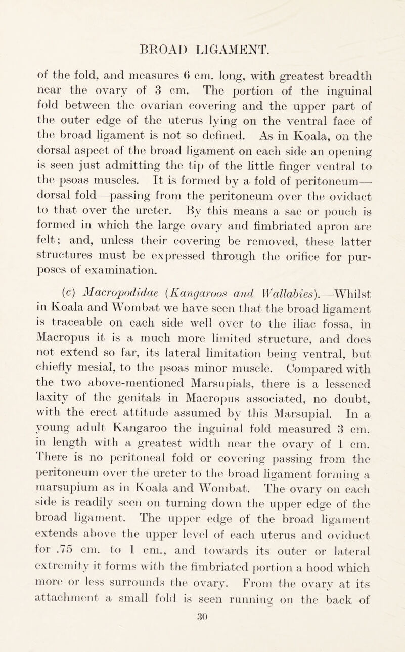 of the fold, and measures 6 cm. long, with greatest breadth near the ovary of 3 cm. The portion of the inguinal fold between the ovarian covering and the upper part of the outer edge of the uterus lying on the ventral face of the broad ligament is not so defined. As in Koala, on the dorsal aspect of the broad ligament on each side an opening is seen just admitting the tip of the little finger ventral to the psoas muscles. It is formed by a fold of peritoneum—* dorsal fold—passing from the peritoneum over the oviduct to that over the ureter. By this means a sac or pouch is formed in which the large ovary and fimbriated apron are felt; and, unless their covering be removed, these latter structures must be expressed through the orifice for pur- poses of examination. (c) Macropodidae (Kangaroos and Wallabies).—-Whilst in Koala and Wombat we have seen that the broad ligament is traceable on each side well over to the iliac fossa, in Macropus it is a much more limited structure, and does not extend so far, its lateral limitation being ventral, but chiefly mesial, to the psoas minor muscle. Compared with the two above-mentioned Marsupials, there is a lessened laxity of the genitals in Macropus associated, no doubt, with the erect attitude assumed by this Marsupial. In a young adult Kangaroo the inguinal fold measured 3 cm. in length with a greatest width near the ovary of 1 cm. There is no peritoneal fold or covering passing from the peritoneum over the ureter to the broad ligament forming a marsupium as in Koala and Wombat. The ovary on each side is readily seen on turning down the upper edge of the broad ligament. The upper edge of the broad ligament extends above the upper level of each uterus and oviduct for .75 cm. to 1 cm., and towards its outer or lateral extremity it forms with the fimbriated portion a hood which more or less surrounds the ovary. From the ovary at its attachment a small fold is seen running on the back of