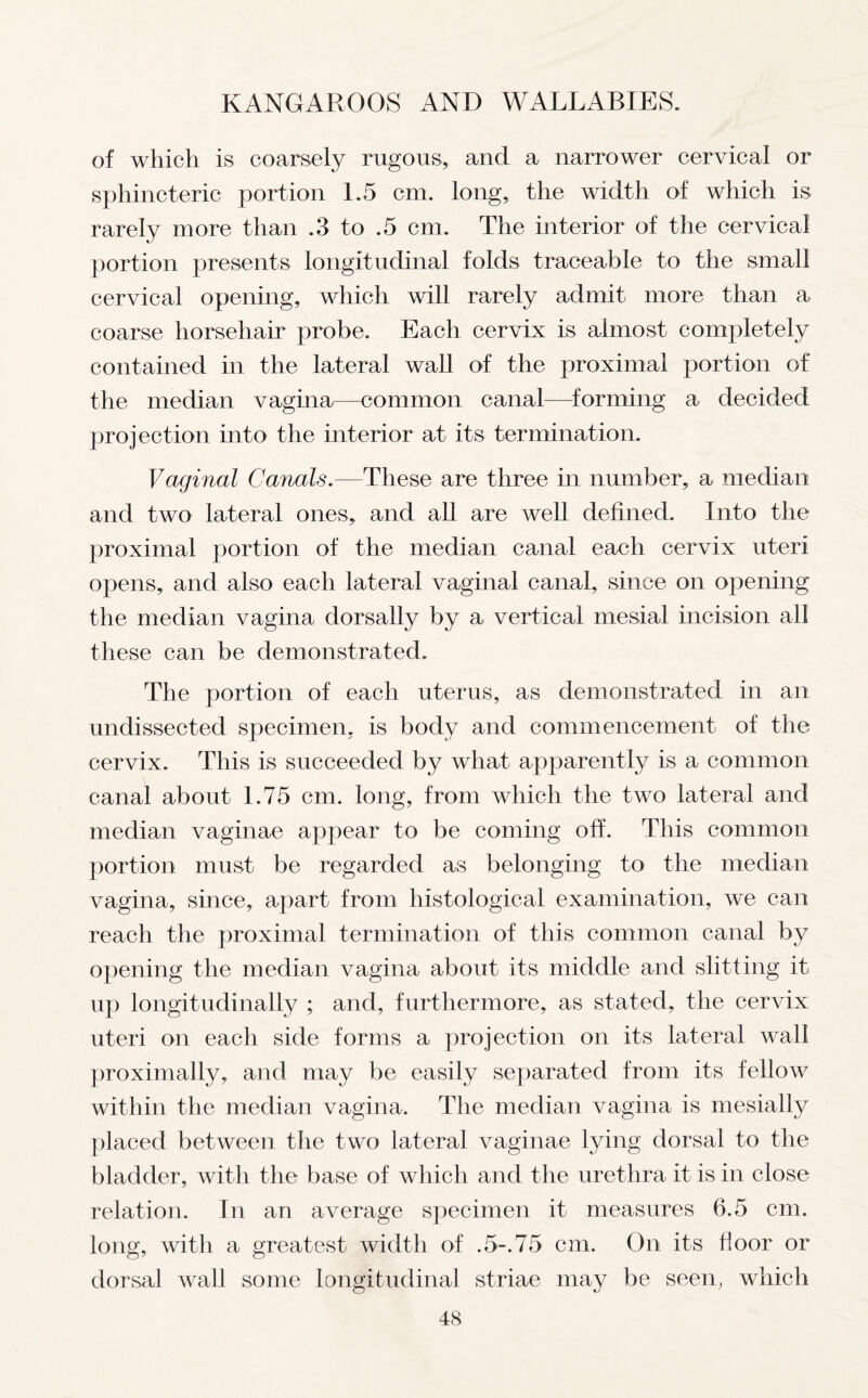 of which is coarsely rugous, and a narrower cervical or sphincteric portion L5 cm. long, the width of which is rarely more than .3 to .5 cm. The interior of the cervical portion presents longitudinal folds traceable to the small cervical opening, which will rarely admit more than a coarse horsehair probe. Each cervix is almost completely contained in the lateral wall of the proximal portion of the median vagina—common canal—forming a decided projection into the ulterior at its termination. Vaginal Canals.—These are three in number, a median and two lateral ones, and all are well defined. Into the proximal portion of the median canal each cervix uteri opens, and also each lateral vaginal canal, since on opening the median vagina dorsally by a vertical mesial incision all these can be demonstrated. The portion of each uterus, as demonstrated in an undissected specimen, is body and commencement of the cervix. This is succeeded by what apparently is a common canal about 1.75 cm. long, from which the two lateral and median vaginae appear to be coming off. This common portion must be regarded as belonging to the median vagina, since, apart from histological examination, we can reach the proximal termination of this common canal by opening the median vagina about its middle and slitting it up longitudinally ; and, furthermore, as stated, the cervix uteri on each side forms a projection on its lateral wall proximally, and may be easily separated from its fellow within the median vagina. The median vagina is mesially placed between the two lateral vaginae lying dorsal to the bladder, with the base of which and the urethra it is in close relation. In an average specimen it measures 6.5 cm. long, with a greatest width of .5-.75 cm. On its floor or dorsal wall some longitudinal striae may be seen, which