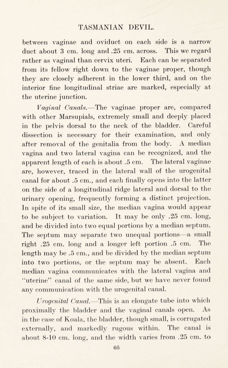 between vaginae and oviduct on each side is a narrow duct about 3 cm. long and .25 cm. across. This we regard rather as vaginal than cervix uteri. Each can be separated from its fellow right down to the vaginae proper, though they are closely adherent in the lower third, and on the interior fine longitudinal striae are marked, especially at the uterine junction. Vaginal Canals.—The vaginae proper are, compared with other Marsupials, extremely small and deeply placed in the pelvis dorsal to the neck of the bladder. Careful dissection is necessary for their examination, and only after removal of the genitalia from the body. A median vagina and two lateral vagina can be recognized, and the apparent length of each is about .5 cm. The lateral vaginae are, however, traced in the lateral wall of the urogenital canal for about .5 cm., and each finally opens into the latter on the side of a longitudinal ridge lateral and dorsal to the urinary opening, frequently forming a distinct projection. In spite of its small size, the median vagina wou]d appear to be subject to variation. It may be only .25 cm. long, and be divided into two equal portions by a median septum. The septum may separate two unequal portions—a small right .25 cm. long and a longer left portion .5 cm. The length may be .5 cm., and be divided by the median septum into two portions, or the septum may be absent. Each median vagina communicates with the lateral vagina and “uterine” canal of the same side, but we have never found any communication with the urogenital canal. Urogenital Canal.—This is an elongate tube into which proximally the bladder and the vaginal canals open. As in the case of Koala, the bladder, though small, is corrugated externally, and markedly rugous within. The canal is about 8-10 cm. long, and the width varies from .25 cm. to