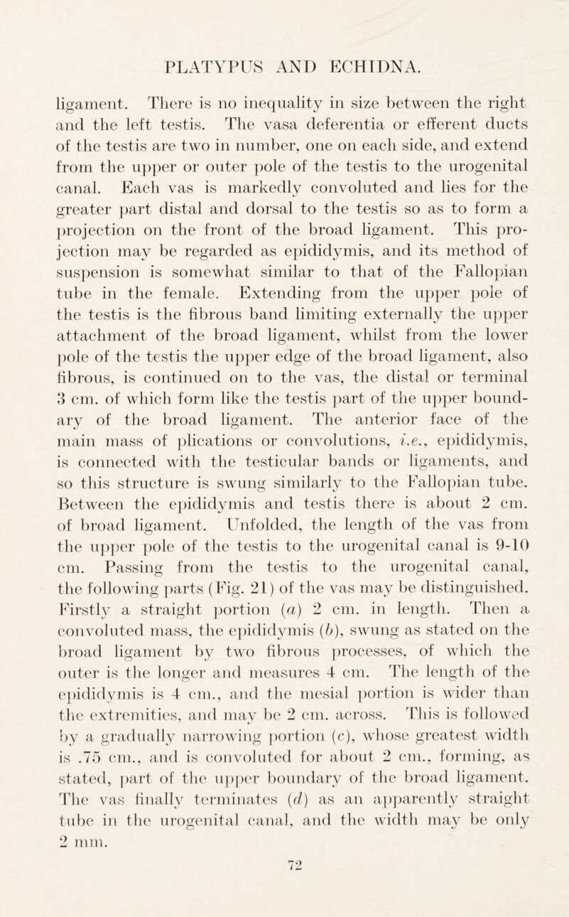 ligament. There is no inequality in size between the right and the left testis. The vasa deferentia or efferent ducts of the testis are two in number, one on each side, and extend from the upper or outer pole of the testis to the urogenital canal. Each vas is markedly convoluted and lies for the greater part distal and dorsal to the testis so as to form a projection on the front of the broad ligament. This pro- jection may be regarded as epididymis, and its method of suspension is somewhat similar to that of the Fallopian tube in the female. Extending from the upper pole of the testis is the fibrous band limiting externally the upper attachment of the broad ligament, whilst from the lower pole of the testis the upper edge of the broad ligament, also fibrous, is continued on to the vas, the distal or terminal 3 cm. of which form like the testis part of the upper bound- ary of the broad ligament. The anterior face of the main mass of plications or convolutions, i.e., epididymis, is connected with the testicular bands or ligaments, and so this structure is swung similarly to the Fallopian tube. Between the epididymis and testis there is about 2 cm. of broad ligament. Unfolded, the length of the vas from the upper pole of the testis to the urogenital canal is 9-10 cm. Passing from the testis to the urogenital canal, the following parts (Fig. 21) of the vas may be distinguished. Firstly a straight portion (a) 2 cm. in length. Then a convoluted mass, the epididymis (b), swung as stated on the broad ligament by two fibrous processes, of which the outer is the longer and measures 4 cm. The length of the epididymis is 4 cm., and the mesial portion is wider than the extremities, and may be 2 cm. across. This is followed by a gradually narrowing portion (c), whose greatest width is .75 cm., and is convoluted for about 2 cm., forming, as stated, part of the upper boundary of the broad ligament. The vas finally terminates (d) as an apparently straight tube in the urogenital canal, and the width may be only 2 mm.