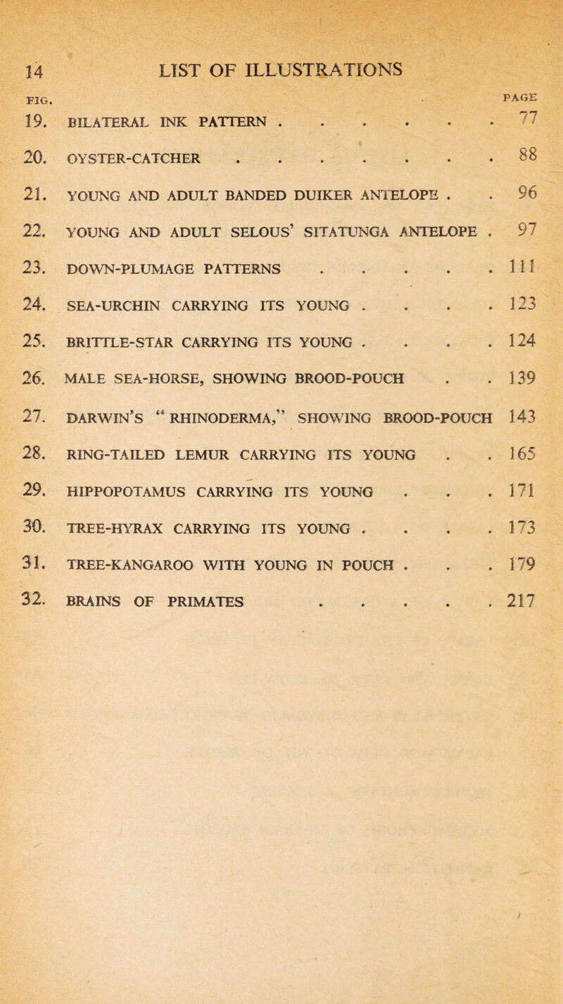 FIG. 19. BILATERAL INK PATTERN 20. OYSTER-CATCHER 21. YOUNG AND ADULT BANDED DUIKER ANTELOPE . 22. YOUNG AND ADULT SELOUS’ SITATUNGA ANTELOPE . 23. DOWN-PLUMAGE PATTERNS 24. SEA-URCHIN CARRYING ITS YOUNG . 25. BRITTLE-STAR CARRYING ITS YOUNG . 26. MALE SEA-HORSE, SHOWING BROOD-POUCH 27. DARWIN’S “ RHINODERMA,” SHOWING BROOD-POUCH 28. RING-TAILED LEMUR CARRYING ITS YOUNG 29. HIPPOPOTAMUS CARRYING ITS YOUNG 30. TREE-HYRAX CARRYING ITS YOUNG . 31. TREE-KANGAROO WITH YOUNG IN POUCH . 32. BRAINS OF PRIMATES . PAGE 77 88 96 97 111 123 124 139 143 165 171 173 179 217