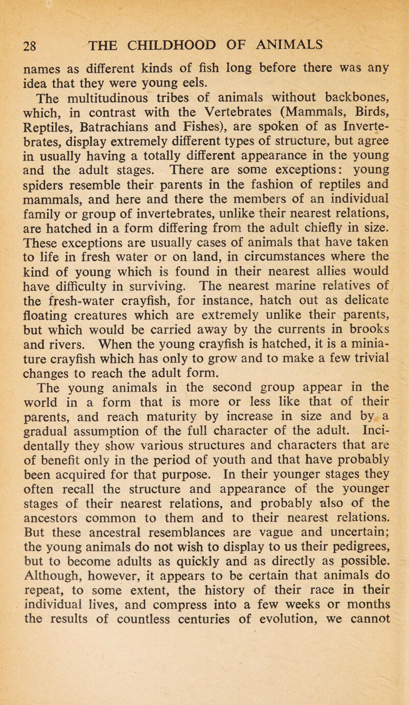 names as different kinds of fish long before there was any idea that they were young eels. The multitudinous tribes of animals without backbones, which, in contrast with the Vertebrates (Mammals, Birds, Reptiles, Batrachians and Fishes), are spoken of as Inverte- brates, display extremely different types of structure, but agree in usually having a totally different appearance in the young and the adult stages. There are some exceptions: young spiders resemble their parents in the fashion of reptiles and mammals, and here and there the members of an individual family or group of invertebrates, unlike their nearest relations, are hatched in a form differing from the adult chiefly in size. These exceptions are usually cases of animals that have taken to life in fresh water or on land, in circumstances where the kind of young which is found in their nearest allies would have difficulty in surviving. The nearest marine relatives of the fresh-water crayfish, for instance, hatch out as delicate floating creatures which are extremely unlike their parents, but which would be carried away by the currents in brooks and rivers. When the young crayfish is hatched, it is a minia- ture crayfish which has only to grow and to make a few trivial changes to reach the adult form. The young animals in the second group appear in the world in a form that is more or less like that of their parents, and reach maturity by increase in size and by a gradual assumption of the full character of the adult. Inci- dentally they show various structures and characters that are of benefit only in the period of youth and that have probably been acquired for that purpose. In their younger stages they often recall the structure and appearance of the younger stages of their nearest relations, and probably also of the ancestors common to them and to their nearest relations. But these ancestral resemblances are vague and uncertain; the young animals do not wish to display to us their pedigrees, but to become adults as quickly and as directly as possible. Although, however, it appears to be certain that animals do repeat, to some extent, the history of their race in their individual lives, and compress into a few weeks or months the results of countless centuries of evolution, we cannot