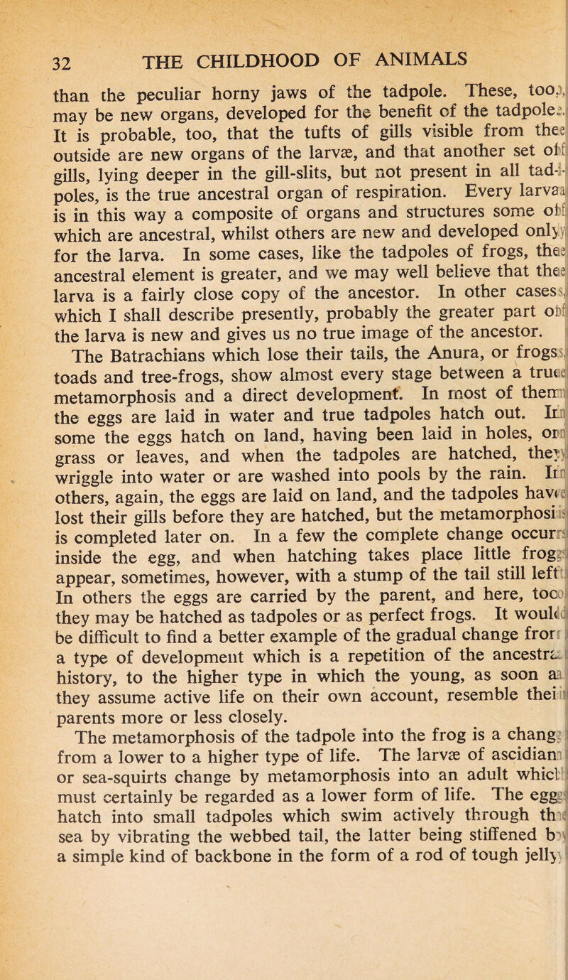 than the peculiar horny jaws of the tadpole. These, toop, may be new organs, developed for the benefit of the tadpole,;. It is probable, too, that the tufts of gills visible from the; outside are new organs of the larvae, and that another set oft gills, lying deeper in the gill-slits, but not present in all tad-1- poles, is the true ancestral organ of respiration. Every larvad is in this way a composite of organs and structures some off which are ancestral, whilst others are new and developed only for the larva. In some cases, like the tadpoles of frogs, thee ancestral element is greater, and we may well believe that thee: larva is a fairly close copy of the ancestor. In other cases which I shall describe presently, probably the greater part off the larva is new and gives us no true image of the ancestor. The Batrachians which lose their tails, the Anura, or frogssj toads and tree-frogs, show almost every stage between a truee metamorphosis and a direct development. In most of then the eggs are laid in water and true tadpoles hatch out, Ir some the eggs hatch on land, having been laid in holes, or grass or leaves, and when the tadpoles are hatched, they wriggle into water or are washed into pools by the rain. Ir others, again, the eggs are laid on land, and the tadpoles hav< lost their gills before they are hatched, but the metamorphosi is completed later on. In a few the complete change occur inside the egg, and when hatching takes place little frog appear, sometimes, however, with a stump of the tail still left In others the eggs are carried by the parent, and here, toe they may be hatched as tadpoles or as perfect frogs. It woufi be difficult to find a better example of the gradual change fror a type of development which is a repetition of the ancestra. history, to the higher type in which the young, as soon a they assume active life on their own account, resemble thei parents more or less closely. The metamorphosis of the tadpole into the frog is a chang from a lower to a higher type of life. The larvae of ascidian or sea-squirts change by metamorphosis into an adult whic] must certainly be regarded as a lower form of life. The egg hatch into small tadpoles which swim actively through th sea by vibrating the webbed tail, the latter being stiffened b a simple kind of backbone in the form of a rod of tough jelly