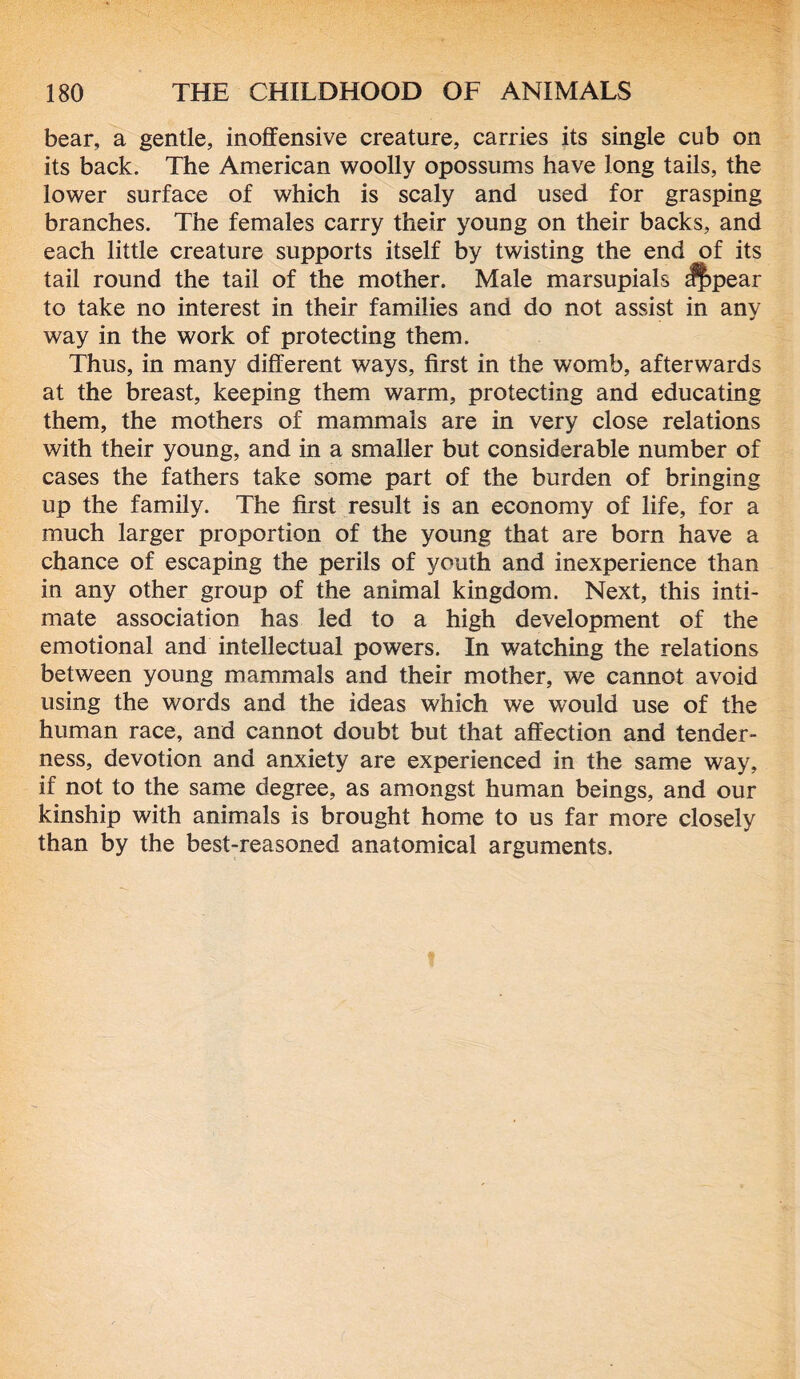 bear, a gentle, inoffensive creature, carries its single cub on its back. The American woolly opossums have long tails, the lower surface of which is scaly and used for grasping branches. The females carry their young on their backs, and each little creature supports itself by twisting the end of its tail round the tail of the mother. Male marsupials $f)pear to take no interest in their families and do not assist in any way in the work of protecting them. Thus, in many different ways, first in the womb, afterwards at the breast, keeping them warm, protecting and educating them, the mothers of mammals are in very close relations with their young, and in a smaller but considerable number of cases the fathers take some part of the burden of bringing up the family. The first result is an economy of life, for a much larger proportion of the young that are born have a chance of escaping the perils of youth and inexperience than in any other group of the animal kingdom. Next, this inti- mate association has led to a high development of the emotional and intellectual powers. In watching the relations between young mammals and their mother, we cannot avoid using the words and the ideas which we would use of the human race, and cannot doubt but that affection and tender- ness, devotion and anxiety are experienced in the same way, if not to the same degree, as amongst human beings, and our kinship with animals is brought home to us far more closely than by the best-reasoned anatomical arguments.