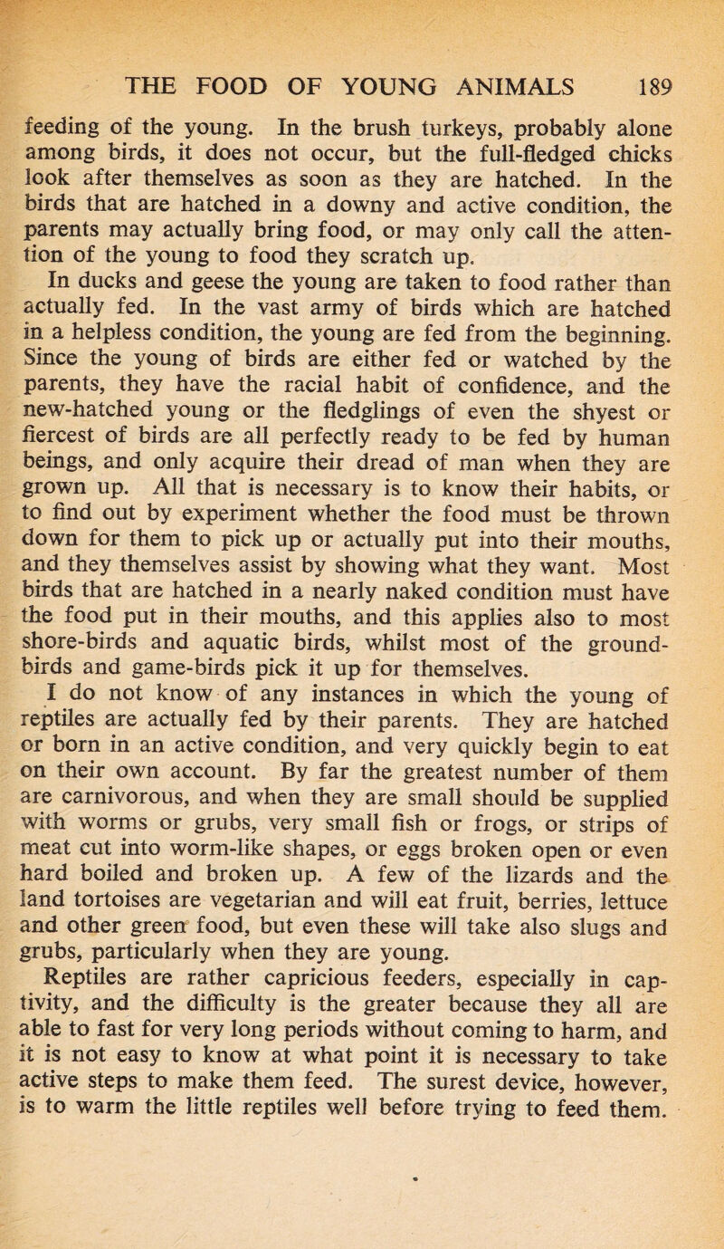 feeding of the young. In the brush turkeys, probably alone among birds, it does not occur, but the full-fledged chicks look after themselves as soon as they are hatched. In the birds that are hatched in a downy and active condition, the parents may actually bring food, or may only call the atten- tion of the young to food they scratch up. In ducks and geese the young are taken to food rather than actually fed. In the vast army of birds which are hatched in a helpless condition, the young are fed from the beginning. Since the young of birds are either fed or watched by the parents, they have the racial habit of confidence, and the new-hatched young or the fledglings of even the shyest or fiercest of birds are all perfectly ready to be fed by human beings, and only acquire their dread of man when they are grown up. All that is necessary is to know their habits, or to find out by experiment whether the food must be thrown down for them to pick up or actually put into their mouths, and they themselves assist by showing what they want. Most birds that are hatched in a nearly naked condition must have the food put in their mouths, and this applies also to most shore-birds and aquatic birds, whilst most of the ground- birds and game-birds pick it up for themselves. I do not know of any instances in which the young of reptiles are actually fed by their parents. They are hatched or born in an active condition, and very quickly begin to eat on their own account. By far the greatest number of them are carnivorous, and when they are small should be supplied with worms or grubs, very small fish or frogs, or strips of meat cut into worm-like shapes, or eggs broken open or even hard boiled and broken up. A few of the lizards and the land tortoises are vegetarian and will eat fruit, berries, lettuce and other green food, but even these will take also slugs and grubs, particularly when they are young. Reptiles are rather capricious feeders, especially in cap- tivity, and the difficulty is the greater because they all are able to fast for very long periods without coming to harm, and it is not easy to know at what point it is necessary to take active steps to make them feed. The surest device, however, is to warm the little reptiles well before trying to feed them.