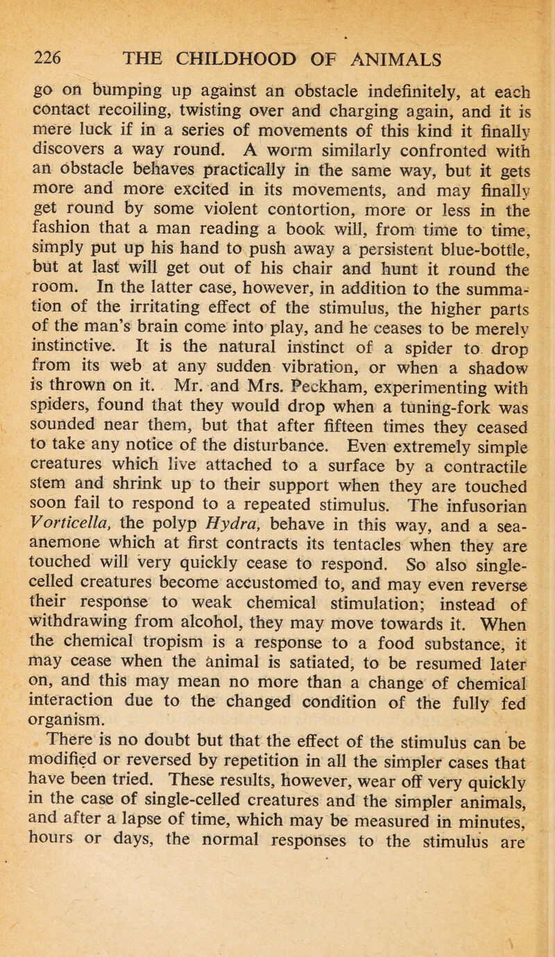 go on bumping up against an obstacle indefinitely, at each contact recoiling, twisting over and charging again, and it is mere luck if in a series of movements of this kind it finally discovers a way round. A worm similarly confronted with an obstacle behaves practically in the same way, but it gets more and more excited in its movements, and may finally get round by some violent contortion, more or less in the fashion that a man reading a book will, from time to time, simply put up his hand to push away a persistent blue-bottle, but at last will get out of his chair and hunt it round the room. In the latter case, however, in addition to the summa- tion of the irritating effect of the stimulus, the higher parts of the man’s brain come into play, and he ceases to be merely instinctive. It is the natural instinct of a spider to drop from its web at any sudden vibration, or when a shadow is thrown on it. Mr. and Mrs. Peckham, experimenting with spiders, found that they would drop when a tuning-fork was sounded near them, but that after fifteen times they ceased to take any notice of the disturbance. Even extremely simple creatures which live attached to a surface by a contractile stem and shrink up to their support when they are touched soon fail to respond to a repeated stimulus. The infusorian Vorticella, the polyp Hydra, behave in this way, and a sea- anemone which at first contracts its tentacles when they are touched will very quickly cease to respond. So also single- celled creatures become accustomed to, and may even reverse their response to weak chemical stimulation; instead of withdrawing from alcohol, they may move towards it. When the chemical tropism is a response to a food substance, it may cease when the animal is satiated, to be resumed later on, and this may mean no more than a change of chemical interaction due to the changed condition of the fully fed organism. There is no doubt but that the effect of the stimulus can be modified or reversed by repetition in all the simpler cases that have been tried. These results, however, wear off very quickly in the case of single-celled creatures and the simpler animals, and after a lapse of time, which may be measured in minutes, hours or days, the normal responses to the stimulus are