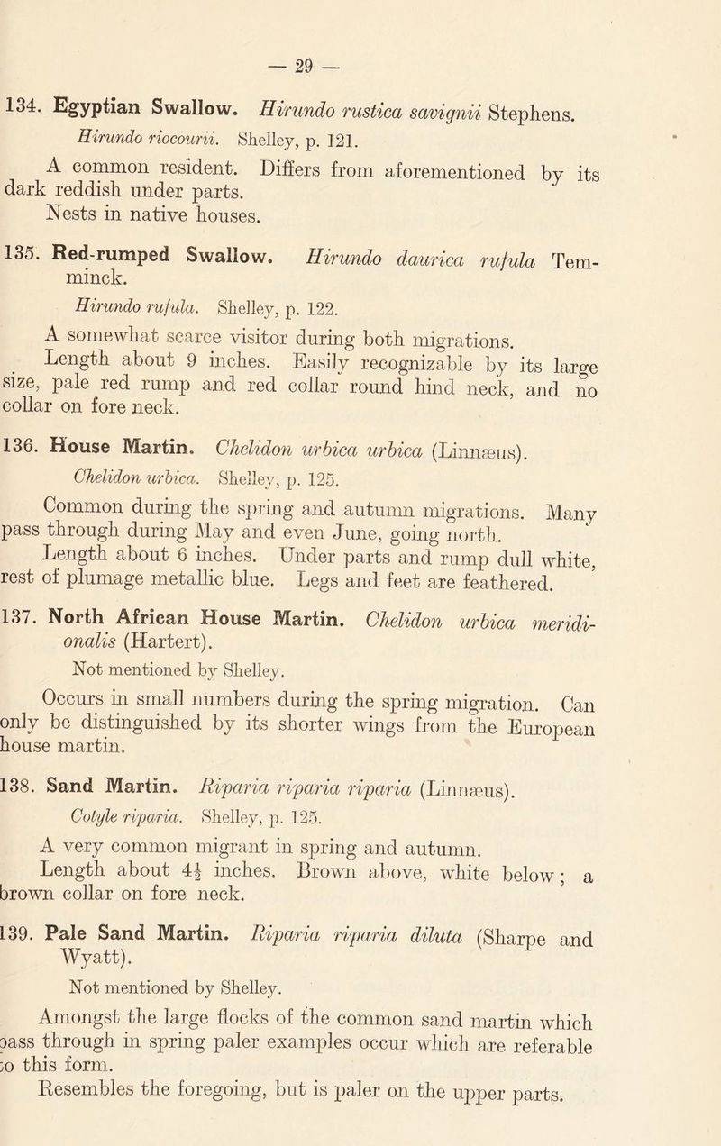 134. Egyptian Swallow. Hirundo rustica savignii Stephens. Hirundo riocourii. Shelley, p. 121. A common resident. Differs from aforementioned by its dark reddish under parts. Nests in native houses. 135. Red-rumped Swallow. Hirundo daurica rufula Tem- minck. Hirundo rufula. Shelley, p. 122. A somewhat scarce visitor during both migrations. Length about 9 inches. Easily recognizable by its large size, pale red rump and red collar round hind neck, and no collar on fore neck. 136. House Martin, Chelidon urbica urbica (Linnaeus). Chelidon urbica. Shelley, p. 125. Common during the spring and autumn migrations. Many pass through during May and even June, going north. Length about 6 inches. Under parts and rump dull white, rest of plumage metallic blue. Legs and feet are feathered. 137. North African House Martin. Chelidon urbica meridi- onalis (Hartert). Not mentioned by Shelley. Occurs in small numbers during the spring migration. Can only be distinguished by its shorter wings from the European house martin. 138. Sand Martin. Riparia ripmria riparia (Limneus). Cotyle riparia. Shelley, p. 125. A very common migrant in spring and autumn. Length about 4J inches. Brown above, white below ; a brown collar on fore neck. 139. Pale Sand Martin. Riparia riparia diluta (Sharpe and Wyatt). Not mentioned by Shelley. Amongst the large flocks of the common sand martin which aass through in spring paler examples occur which are referable 30 this form. Besembles the foregoing, but is paler on the upper parts.