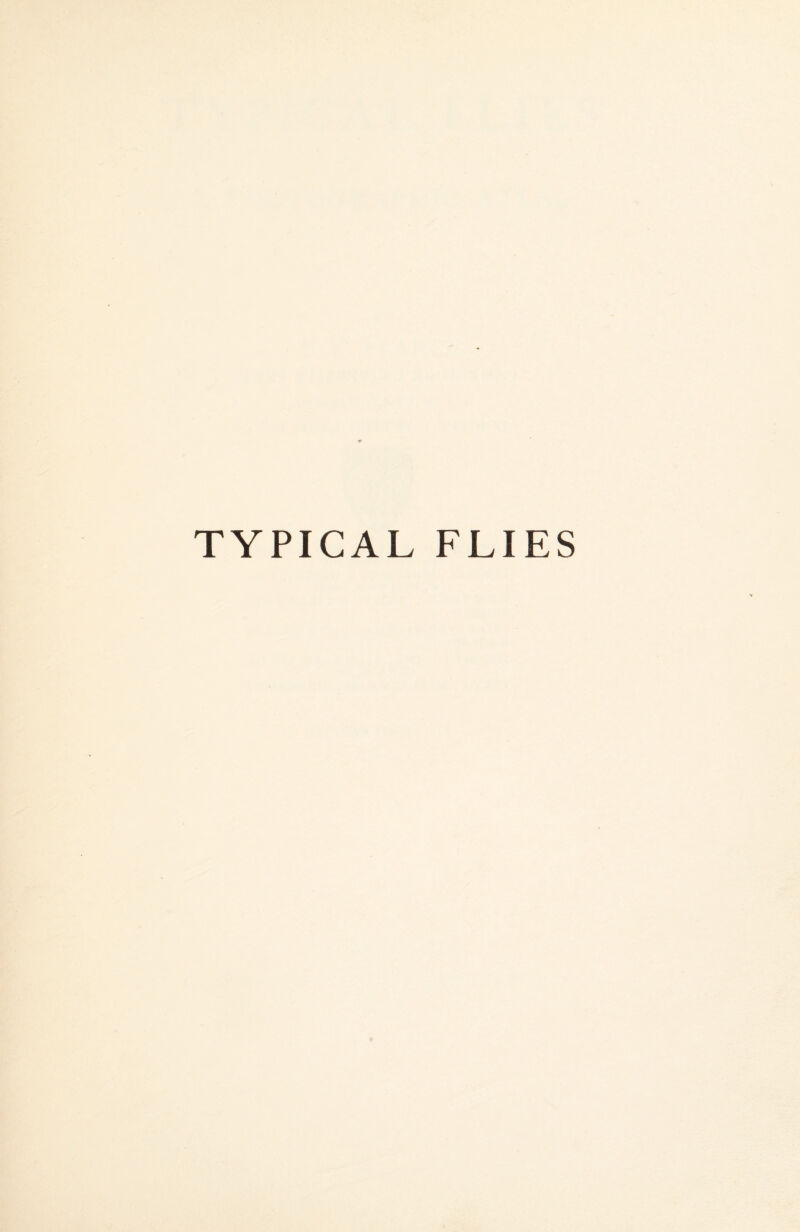 TYPICAL FLIES