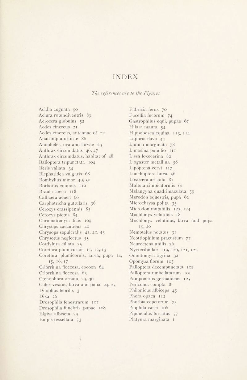 INDEX The references are to the Figures Acidia cognata 90 Aciura rotundiventris 89 Acrocera globulus 52 Aedes cinereus 21 Aedes cinereus, antennae of 22 Anacampta urticae 86 Anopheles, ova and larvae 23 Anthrax circumdatus 46, 47 Anthrax circumdatus, habitat of 48 Balioptera tripunctata 104 Beris vallata 34 Blepharidea vulgaris 68 Bombylius minor 49, 50 Borborus equinus no Braula caeca 118 Callicera aenea 66 Carphotricha guttularis 96 Ceroxys crassipennis 85 Ceroxys pictus 84 Chromatomyia ilicis 109 Chrysops caecutiens 40 Chrysops sepulcralis 41, 42, 43 Chrysotus neglectus 55 Cordylura ciliata 75 Corethra plumicornis 11, 12, 13 Corethra plumicornis, larva, pupa 14, 15, 16, 17 Criorrhina floccosa, cocoon 64 Criorrhina floccosa 63 Ctenophora ornata 29, 30 Culex vexans, larva and pupa 24, 25 Dilophus febrilis 3 Dixa 26 Drosophila fenestrarum 107 Drosophila funebris, pupae 108 Elgiva albiseta 79 Empis tessellata 53 Fabricia ferox 70 Fucellia fucorum 74 Gastrophilus equi, pupae 67 Hilara maura 54 Hippobosca equina 113, 114 Laphria flava 44 Limnia marginata 78 Limosina pumilio in Lissa loxocerina 82 Liogaster metallina 58 Lipoptena cervi 117 Lonchoptera lutea 56 Loxocera aristata 81 Mai lota cimbiciformis 61 Melangyna quadrimaculata 59 Merodon equestris, pupa 62 Microchrysa polita 33 Microdon mutabilis 123, 124 Mochlonyx velutinus 18 Mochlonyx velutinus, larva and pupa 19, 20 Nemotelus notatus 31 Neottiophilum praeustum 77 Neuroctena anilis 76 Nycteribiidae 119, 120, 121, 122 Odontomyia tigrina 32 Oponryza florum 105 Balioptera decempunctata 102 Palloptera umbellatarum 101 Pamponerus germanicus 125 Pericoma cornpta 8 Philonicus albiceps 45 Phora opaca 112 Phorbia cepetorum 73 Piophila casei 106 Pipunculus furcatus 57 Platyura marginata 1
