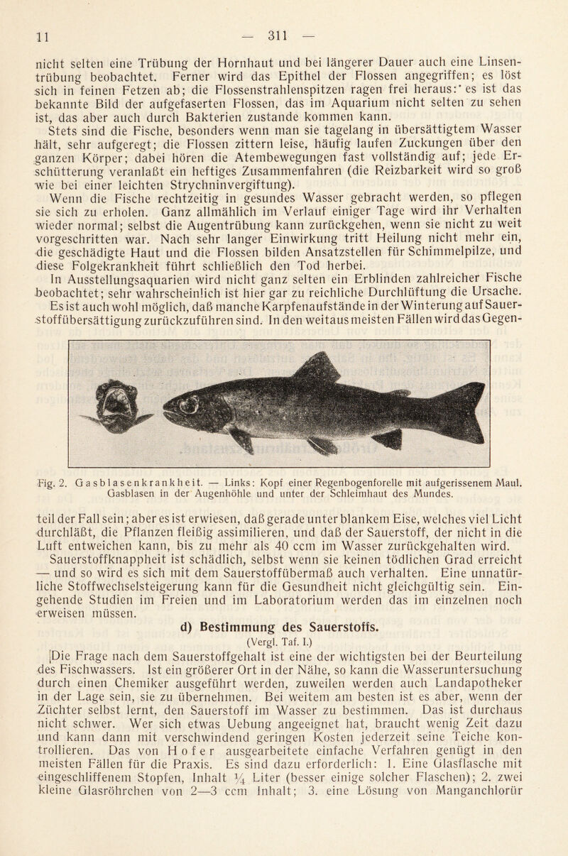 nicht selten eine Trubung der Hornhaut und bei langerer Dauer auch eine Linsen- trubung beobachtet. Ferner wird das Epithel der Flossen angegriffen; es lost sich in feinen Fetzen ab; die Flossenstrahlenspitzen ragen frei heraus:*es ist das bekannte Bild der aufgefaserten Flossen, das im Aquarium nicht selten zu sehen ist, das aber auch durch Bakterien zustande kommen kann. Stets sind die Fische, besonders wenn man sie tagelang in ubersattigtem Wasser halt, sehr aufgeregt; die Flossen zittern leise, haufig laufen Zuckungen iiber den ganzen Korper; dabei horen die Atembewegungen fast vollstandig auf; jede Er- schiitterung veranlaBt ein heftiges Zusammenfahren (die Reizbarkeit wird so groB wie bei einer leichten Strychninvergiftung). Wenn die Fische rechtzeitig in gesundes Wasser gebracht werden, so pflegen sie sich zu erholen. Ganz allmahlich im Verlauf einiger Tage wird ihr Verhalten wieder normal; selbst die Augentrubung kann zuruckgehen, wenn sie nicht zu weit vorgeschritten war. Nach sehr langer Einwirkung tritt Heilung nicht mehr ein, die geschadigte Haut und die Flossen bilden Ansatzstellen fur Schimmelpilze, und diese Folgekrankheit fiihrt schlieBlich den Tod herbei. In Ausstellungsaquarien wird nicht ganz selten ein Erblinden zahlreicher Fische beobachtet; sehr wahrscheinlich ist hier gar zu reichliche Durchluftung die Ursache. Es ist auch wohl moglich, daB manche Karpfenaufstande in der Winterung auf Sauer- .stoff ubersattigung zuriickzufuhren sind. In den weitaus meisten Fallen wird das Gegen- Fig. 2. Gasblasenkrankheit. — Links: Kopf einer Regenbogenforelle mit aufgerissenem Maul. Gasblasen in der Augenhohle und unter der Schleimhaut des Mundes. teil der Fall sein; aber es ist erwiesen, daB gerade unter blankem Eise, welches viel Licht durchlaBt, die Pflanzen fleiBig assimilieren, und daB der Sauerstoff, der nicht in die Luft entweichen kann, bis zu mehr als 40 ccm im Wasser zuriickgehalten wird. Sauerstoffknappheit ist schadlich, selbst wenn sie keinen todlichen Grad erreicht — und so wird es sich mit dem SauerstofftibermaB auch verhalten. Eine unnatlir- liche Stoffwechselsteigerung kann fur die Gesundheit nicht gleichgiiltig sein. Ein- gehende Studien im Freien und im Laboratorium werden das im einzelnen noch erweisen mussen. d) Bestimmung des Sauerstoffs. (Vergl. Taf. I.) Die Frage nach dem Sauerstoffgehalt ist eine der wichtigsten bei der Beurteilung des Fischwassers. Ist ein groBerer Ort in der Nalie, so kann die Wasseruntersuchung durch einen Chemiker ausgeftihrt werden, zuweilen werden auch Landapotheker in der Lage sein, sie zu ubernehmen. Bei weitem am besten ist es aber, wenn der Ztichter selbst lernt, den Sauerstoff im Wasser zu bestimmen. Das ist durchaus nicht schwer. Wer sich etwas Uebung angeeignet hat, braucht wenig Zeit dazu und kann dann mit verschwindend geringen Kosten jederzeit seine Teiche kon- trollieren. Das von FI o f e r ausgearbeitete einfache Verfahren geniigt in den meisten Fallen fur die Praxis. Es sind dazu erforderlich: 1. Eine Glasflasche mit cingeschliffenem Stopfen, Inhalt % Liter (besser einige solcher Flaschen); 2. zwei kleine Glasrohrchen von 2—3 ccm Inhalt; 3. eine Losung von Manganchloriir