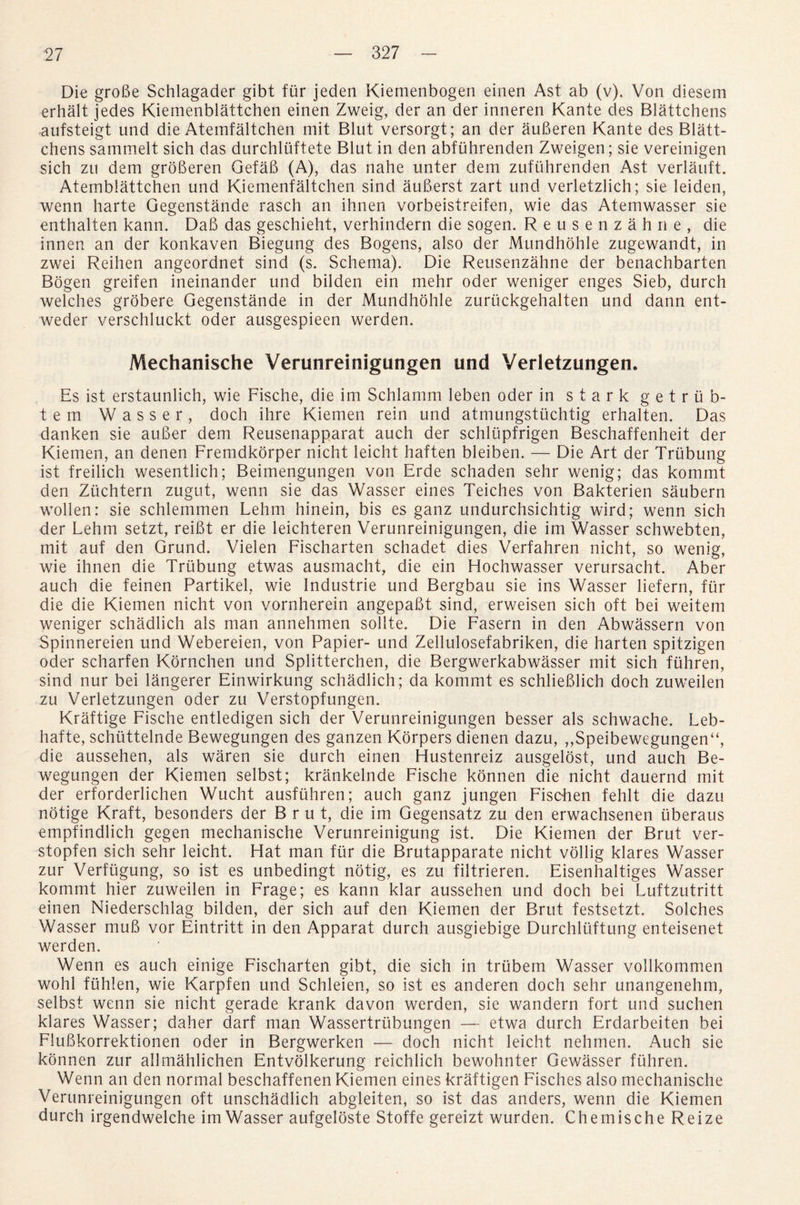 Die groBe Schlagader gibt fiir jeden Kiemenbogen einen Ast ab (v). Von diesem erhalt jedes Kiemenblattchen einen Zweig, der an der inneren Kante des Blattchens aufsteigt und die Atemfaltchen mit Blut versorgt; an der auBeren Kante des Blatt¬ chens sammelt sich das durchluftete Blut in den abfuhrenden Zweigen; sie vereinigen sich zu dem groBeren GefaB (A), das nahe unter dem zufuhrenden Ast verlauft. Atemblattchen und Kiemenfaltchen sind auBerst zart und verletzlich; sie leiden, wenn harte Gegenstande rasch an ihnen vorbeistreifen, wie das Atemwasser sie enthalten kann. DaB das geschieht, verhindern die sogen. Reusenzahne, die innen an der konkaven Biegung des Bogens, also der Mundhohle zugewandt, in zwei Reihen angeordnet sind (s. Schema). Die Reusenzahne der benachbarten Bogen greifen ineinander und bilden ein mehr oder weniger enges Sieb, durch welches grobere Gegenstande in der Mundhohle zuriickgehalten und dann ent- weder verschluckt oder ausgespieen werden. Meehanische Verunreinigungen und Verletzungen. Es ist erstaunlich, wie Fische, die im Schlamm leben oder in stark g e t r ii fa¬ te m Wasser, doch ihre Kiemen rein und atmungstiichtig erhalten. Das danken sie auBer dem Reusenapparat auch der schlupfrigen Beschaffenheit der Kiemen, an denen Fremdkorper nicht leicht haften bleiben. — Die Art der Triibung ist freilich wesentlich; Beimengungen von Erde schaden sehr wenig; das kommt den Zuchtern zugut, wenn sie das Wasser eines Teiches von Bakterien saubern wollen: sie schlemmen Lehm hinein, bis es ganz undurchsichtig wird; wenn sich der Lehm setzt, reiBt er die leichteren Verunreinigungen, die im Wasser schwebten, mit auf den Grund. Vielen Fischarten schadet dies Verfahren nicht, so wenig, wie ihnen die Triibung etwas ausmacht, die ein Hochwasser verursacht. Aber auch die feinen Partikel, wie Industrie und Bergbau sie ins Wasser liefern, fiir die die Kiemen nicht von vornherein angepaBt sind, erweisen sich oft bei weitem weniger schadlich als man annehmen sollte. Die Fasern in den Abwassern von Spinnereien und Webereien, von Papier- und Zellulosefabriken, die harten spitzigen oder scharfen Kornchen und Splitterchen, die Bergwerkabwasser mit sich fiihren, sind nur bei langerer Einwirkung schadlich; da kommt es schlieBlich doch zuweilen zu Verletzungen oder zu Verstopfungen. Kraftige Fische entledigen sich der Verunreinigungen besser als schwache. Leb- hafte, schtittelnde Bewegungen des ganzen Korpers dienen dazu, ,,Speibewegungen“, die aussehen, als waren sie durch einen Hustenreiz ausgelost, und auch Be¬ wegungen der Kiemen selbst; krankelnde Fische konnen die nicht dauernd mit der erforderlichen Wucht ausfuhren; auch ganz jungen Fisehen fehlt die dazu notige Kraft, besonders der Brut, die im Gegensatz zu den erwachsenen uberaus empfindlich gegen meehanische Verunreinigung ist. Die Kiemen der Brut ver- stopfen sich sehr leicht. Hat man fur die Brutapparate nicht vollig klares Wasser zur Verfugung, so ist es unbedingt notig, es zu filtrieren. Eisenhaltiges Wasser kommt hier zuweilen in Frage; es kann klar aussehen und doch bei Luftzutritt einen Niederschlag bilden, der sich auf den Kiemen der Brut festsetzt. Solches Wasser muB vor Eintritt in den Apparat durch ausgiebige Durchluftung enteisenet werden. Wenn es auch einige Fischarten gibt, die sich in trubem Wasser vollkommen wohl fiihlen, wie Karpfen und Schleien, so ist es anderen doch sehr unangenehm, selbst wenn sie nicht gerade krank davon werden, sie wandern fort und suchen klares Wasser; daher darf man Wassertrtibungen — etwa durch Erdarbeiten bei FluBkorrektionen oder in Bergwerken — doch nicht leicht nehmen. Auch sie konnen zur allmahlichen Entvolkerung reichlich bewohnter Gewasser fiihren. Wenn an den normal beschaffenen Kiemen eines kraftigen Fisches also meehanische Verunreinigungen oft unschadlich abgleiten, so ist das anders, wenn die Kiemen durch irgendwelche im Wasser aufgeloste Stoffe gereizt wurden. Chemische Reize
