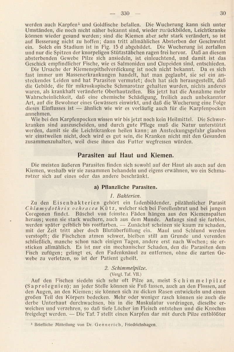 werden auch Karpfen1 und Goldfische befallen. Die Wucherung kann sich unter Umstanden, die noch nicht naher bekannt sind, wieder zuruckbilden, Leichtkranke konnen wieder gesund werden; sind die Kiemen aber sehr stark verandert, so ist auf Besserung nicht zu hoffen; dann tritt allmahliches Absterben der Geschwulst ein. Solch ein Stadium ist in Fig. 15 d abgebildet. Die Wucherung ist zerfallen und nur die Spitzen der knorpeligen Stutzstabchen ragen frei hervor. DaB an diesem absterbenden Gewebe Pilze sich ansiedeln, ist einleuchtend, und damit ist das Geschick empfindlicher Fische, wie es Salmoniden und Clupeiden sind, entschieden. Die Ursache der Kiemenepithelverdickung ist noch nicht bekannt. Da es sich fast imrner uni Massenerkrankungen handelt, hat man geglaubt, sie sei ein an- steckendes Leiden und hat Parasiten vermutet; doch hat sich herausgestellt, daB die Gebilde, die fur mikroskopische Schmarotzer gehalten wurden, nichts anderes waren, als krankhaft veranderte Oberhautzellen. Bis jetzt hat die Annahme mehr Wahrscheinlichkeit, daB eine chemische Schadigung, freilich auch unbekannter Art, auf die Bewohner eines Gewassers einwirkt, und daB die Wucherung eine Folge dieses Einflusses ist — ahnlich wie wir es vorlaufig auch fur die Karpfenpocken annehmen. Wie bei den Karpfenpocken wissen wir bis jetzt noch kein Heilmittel. Die Schwer- kranken sind auszuscheiden, und durch gute Pflege muB die Natur unterstiitzt werden, damit sie die Leichtkranken heilen kann; an Ansteckungsgefahr glauben wir einstweilen nicht, doch wird es gut sein, die Kranken nicht mit den Gesunden zusammenzuhalten, weil diese ihnen das Futter wegfressen wurden. Parasiten auf Haut und Kiemen. Die meisten auBeren Parasiten finden sich sowohl auf der Haut als auch auf den Kiemen, weshalb wir sie zusammen behandeln und eigens erwahnen, wo ein Schma¬ rotzer sich auf eines oder das andere beschrankt. a) Pflanzliche Parasiten. 1. Bakterien. Zu den Eisenbakterien gehort ein fadenbildender, pilzahnlicher Parasit Chlamydothrix ochracea Kiitz, welcher sich bei Forellenbrut und bei jungen Coregonen findet. Biischel von feinsten Faden hangen aus den Kiemenspalten heraus; wenn sie stark wuchern, auch aus dem Munde. Anfangs sind sie farblos, werden spater gelblich bis rostfarben. — Zunachst scheinen sie kaum zu schaden, mit der Zeit tritt aber doch Blutuberftillung ein. Maul und Schlund werden verstopft; die Fischchen atmen schwer, bleiben still am Grunde und verenden schlieBlich, manche schon nach einigen Tagen, andere erst nach Wochen; sie er- sticken allmahlich. Es ist nur ein mechanischer Schaden, den die Parasiten dem Fisch zufugen; gelingt es, den Fadenknauel zu entfernen, ohne die zarten Ge¬ webe zu verletzen, so ist der Patient geheilt. 2. Schimmelpilze. (Vergl. Taf. VII.) Auf den Fischen siedeln sich sehr oft Pilze an, meist Schimmelpilze (Saprolegnien); an jeder Stelle konnen sie FuB fassen, auch an den Flossen, auf den Augen, an den Kiemen; sie konnen sich zu dicken Rasen entwickeln und einen groBen Teil des Korpers bedecken. Mehr Oder weniger rasch konnen sie auch die derbe Unterhaut durchwachsen, bis in die Muskulatur vordringen, dieselbe er- weichen und verzehren, so daB tiefe Locher im Fleisch entstehen und die Knochen freigelegt werden. — Die Taf. 7 stellt einen Karpfen dar mit durch Pilze entbloBter 1 Briefliche Mitteilung von Dr. Gennerich, Friedrichshagen.