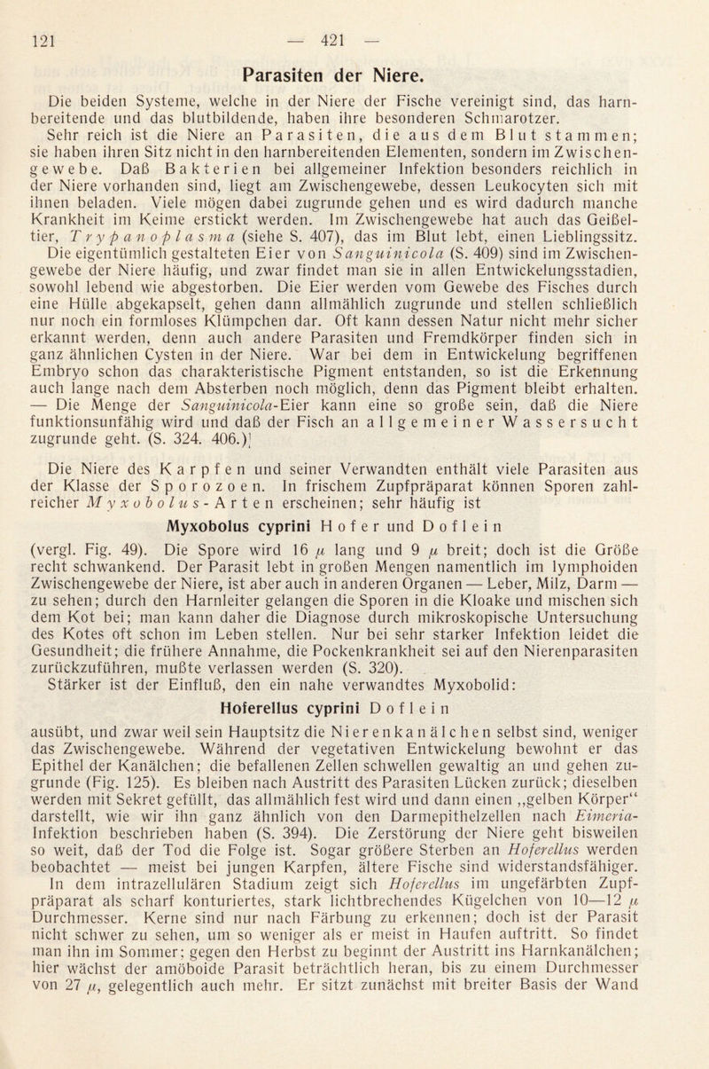 Parasiten der Niere. Die beiden Systeme, welche in der Niere der Fische vereinigt sind, das harn- bereitende und das blutbildende, haben ihre besonderen Schmarotzer. Sehr reich ist die Niere an Parasiten, die a u s dem B1 u t stammen; sie haben ihren Sitz nicht in den harnbereitenden Elementen, sondern im Zwischen- gewebe. Dab Bakterien bei allgemeiner Infektion besonders reichlich in der Niere vorhanden sind, liegt am Zwischengewebe, dessen Leukocyten sich mit ihnen beladen. Viele mogen dabei zugrunde gehen und es wird dadurch manche Krankheit im Keime erstickt werden. Im Zwischengewebe hat auch das GeiBel- tier, T rypanoplasm a (siehe S. 407), das im Bint lebt, einen Lieblingssitz. Die eigentumlich gestalteten Eier von S anguinicola (S. 409) sind im Zwischen¬ gewebe der Niere haufig, und zwar findet man sie in alien Entwickelungsstadien, sowohl lebend wie abgestorben. Die Eier werden vom Gewebe des Fisches durch eine Hiille abgekapselt, gehen dann allmahlich zugrunde und stellen schlieBlich nur noch ein formloses Klumpchen dar. Oft kann dessen Natur nicht mehr sicher erkannt werden, denn auch andere Parasiten und Fremdkorper finden sich in ganz ahnlichen Cysten in der Niere. War bei dem in Entwickelung begriffenen Embryo schon das charakteristische Pigment entstanden, so ist die Erkennung auch lange nach dem Absterben noch moglich, denn das Pigment bleibt erhalten. — Die Menge der Sanguinicola-Eier kann eine so groBe sein, daB die Niere funktionsunfahig wird und daB der Fisch an allgemeiner Wasser sue h t zugrunde geht. (S. 324. 406.)] Die Niere des K a r p f e n und seiner Verwandten enthalt viele Parasiten aus der Klasse der Sporozoen. In frischem Zupfpraparat konnen Sporen zahl- reicher Myxobolus - Arten erscheinen; sehr haufig ist Myxobolus cyprini H o f e r und D o f 1 e i n (vergl. Fig. 49). Die Spore wird 16 /a lang und 9 /a breit; doch ist die GroBe recht schwankend. Der Parasit lebt in groBen Mengen namentlich im lymphoiden Zwischengewebe der Niere, ist aber auch in anderen Organen — Leber, Milz, Darrn — zu sehen; durch den Harnleiter gelangen die Sporen in die Kloake und mischen sich dem Kot bei; man kann daher die Diagnose durch mikroskopische Untersuchung des Kotes oft schon im Leben stellen. Nur bei sehr starker Infektion leidet die Gesundheit; die friihere Annahme, die Pockenkrankheit sei auf den Nierenparasiten zuriickzufuhren, muBte verlassen werden (S. 320). Starker ist der EinfluB, den ein nahe verwandtes Myxobolid: Hoferellus cyprini D o f 1 e i n ausiibt, und zwar weil sein Hauptsitz die Nierenkanalchen selbst sind, weniger das Zwischengewebe. Wahrend der vegetativen Entwickelung bewohnt er das Epithel der Kanalchen; die befallenen Zellen schwellen gewaltig an und gehen zu¬ grunde (Fig. 125). Es bleiben nach Austritt des Parasiten Liicken zuriick; dieselben werden mit Sekret gefiillt, das allmahlich fest wird und dann einen ,,gelben Korper“ darstellt, wie wir ihn ganz ahnlich von den Darmepithelzellen nach Eimeria- Infektion beschrieben haben (S. 394). Die Zerstorung der Niere geht bisweilen so weit, daB der Tod die Folge ist. Sogar grOBere Sterben an Hoferellus werden beobachtet — meist bei jungen Karpfen, altere Fische sind widerstandsfahiger. In dem intrazellularen Stadium zeigt sich Hoferellus im ungefarbten Zupf¬ praparat als scharf konturiertes, stark lichtbrechendes Ktigelchen von 10—12 /.i Durchmesser. Kerne sind nur nach Farbung zu erkennen; doch ist der Parasit nicht schwer zu sehen, um so weniger als er meist in Flaufen auftritt. So findet man ihn im Sommer; gegen den Herbst zu beginnt der Austritt ins Harnkanalchen; hier wachst der amoboide Parasit betrachtlich heran, bis zu einem Durchmesser von 27 /i, gelegentlich auch mehr. Er sitzt zunachst mit breiter Basis der Wand