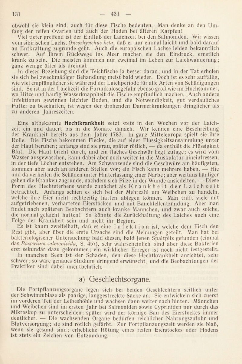 obwohl sie klein sind, auch fur diese Fische bedeuten. Man denke an den Urn- fang der reifen Ovarien und auch der Hoden bei alteren Karpfen! Viel tiefer greifend ist der EinfluB der Laichzeit bei den Salmoniden. Wir wissen vom sibirischen Lachs, Oncorhynchus keta, dab er nur einmal laicht und bald darauf an Entkraftung zugrunde geht. Auch die europaischen Lachse leiden bekanntlich schwer. Auf ihrem Riickwege ins Meer machen sie den Eindruck, ernstlich krank zu sein. Die meisten kommen nur zweimal im Leben zur Laichwanderung; ganz wenige offer als dreimal. In dieser Beziehung sind die Teichfische ja besser daran; und in der Tat erholen sie sich bei zweckmaBiger Behandlung meist bald wieder. Doch ist es sehr auffallig, wie viel empfanglicher sie wall rend der Laichperiode ftir alle Arten von Schadigungen sind. So ist in der Laichzeit die Furunkulosegefahr ebenso groB wie im Hochsommer, wo Hitze und haufig Wasserknappheit die Fische empfindlich machen. Auch andere Infektionen gewinnen leichter Boden, und die Notwendigkeit, gut verdauliches Futter zu beschaffen, ist wegen der drohenden Darmerkrankungen dringlicher als zu anderen Jahreszeiten. Eine altbekannte Hechtkrankheit setzt stets in den Wochen vor der Laich¬ zeit ein und dauert bis in die Monate danach. Wir kennen eine Beschreibung der Krankheit bereits aus dem Jahre 1783. In ganz Mitteleuropa spielt sie ihre Rolle. Die Fische bekommen Flecke, die auf einer Flussigkeitsansammlung unter der Haut beruhen; anfangs sind sie grau, spater rotlich, — da enthalt die Fliissigkeit Blut. Die Haut bricht durch, und ein flaches Geschwiir liegt zutage; es wird vom Wasser ausgewaschen, kann dabei aber noch weiter in die Muskulatur hineinfressen, in der tiefe Locher entstehen. Am Schwanzende sind die Geschwiire am haufigsten, kommen aber auch an anderen Stellen vor; ein Fisch kann mehrere haben. — File und da verheilen die Schaden unter Hinterlassung einer Narbe; aber weitaus haufiger gehen die Kranken zugrunde, nachdem sich Pilze in der Wunde ansiedelten. — Diese Form des Hechtsterbens wurde zunachst als Krankheit der Laichzeit betrachtet. Anfangs schien es sich bei der Mehrzahl um Weibchen zu handeln, welche ihre Eier nicht rechtzeitig hatten ablegen konnen. Man trifft viele mit aufgetriebenen, verharteten Eierstocken und mit Bauchfellentzundung. Aber man findet nach spateren Beobachtern auch kranke Mannchen, und zwar auch solche, die normal gelaicht hatten! So konnte die Zurtickhaltung des Laiches auch eine Folge der Krankheit sein und nicht ihr Beginn. Es ist kaum zweifelhaft, daB es eine I n f e k t i o n ist, welche dem Fisch den Rest gibt, aber tiber die erste Ursache sind die Meinungen geteilt. Man hat bei bakteriologischer Untersuchung bald diesen, bald jenen Spaltpilz gefunden (einmal das Bacterium salmonicida, S. 457), sehr wahrscheinlich sind aber diese Bakterien erst sekundar dazu gekommen; ein wirklicher Erreger ist noch nicht festgestellt. In manchen Seen ist der Schaden, den diese Hechtkrankheit anrichtet, sehr schwer; so ware genaues Studium dringend erwiinscht, und die Beobachtungen der Praktiker sind dabei unentbehrMch. a) Geschlechtsorgane. Die Fortpflanzungsorgane legen sich bei beiden Geschlechtern seitlich unter der Schwimmblase als paarige, langgestreckte Sacke an. Sie entwickeln sich zuerst im vorderen Teil der Leibeshohle und wachsen dann weiter nach hinten. Mannchen und Weibchen sind im ersten Jahr bei Salmoniden sowie Cypriniden nur durch das Mikroskop zu unterscheiden; spater wird der kornige Bau des Eierstockes immer deutlicher. — Die wachsenden Organe bedurfen reichlicher Nahrungszufuhr und Blutversorgung; sie sind rotlich gefarbt. Zur Fortpflanzungszeit werden sie blaB, wenn sie gesund sind; erhebliche Rotung eines reifen Eierstockes oder Hodens ist stets ein Zeichen von Entziindung.