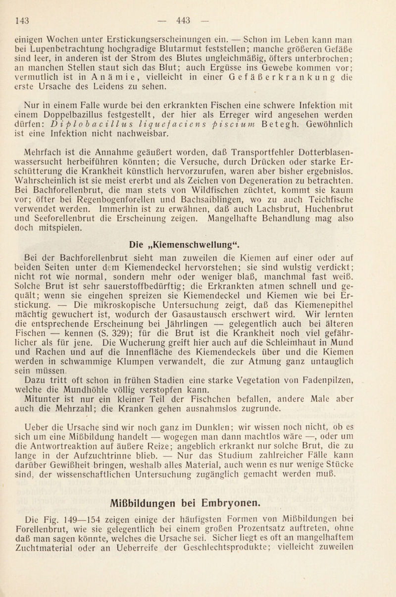einigen Wochen unter Erstickungserscheinungen ein. — Schon im Leben kann man bei Lupenbetrachtung hochgradige Blutarmut feststellen; manche groberen Gefabe sind leer, in anderen ist der Strom des Blutes ungleichmabig, otters unterbrochen; an manchen Stellen staut sich das Blut; auch Ergusse ins Gewebe kommen vor; vermutlich ist in Anamie, vielleicht in einer Gefaberkrankung die erste Ursache des Leidens zu sehen. Nur in einem Falle wurde bei den erkrankten Fischen eine schwere Infektion mit einem Doppelbazillus festgestellt, der hier als Erreger wird angesehen werden diirfen: Diplobacillus liquefaciens piscium Betegh. Gewohnlich ist eine Infektion nicht nachweisbar. Mehrfach ist die Annahme geaubert worden, dab Transportfehler Dotterblasen- wassersucht herbeifuhren konnten; die Versuche, durch Drucken oder starke Er- schutterung die Krankheit kunstlich hervorzurufen, waren aber bisher ergebnislos. Wahrscheinlich ist sie meist ererbt und als Zeichen von Degeneration zu betrachten. Bei Bachforellenbrut, die man stets von Wildfischen ziichtet, kommt sie kaum vor; otter bei Regenbogenforellen und Bachsaiblingen, wo zu auch Teichfische verwendet werden. Immerhin ist zu erwahnen, dab auch Lachsbrut, Huchenbrut und Seeforellenbrut die Erscheinung zeigen. Mangelhafte Behandlung mag also doch mitspielen. Die „Kiemenschwellung“. Bei der Bachforellenbrut sieht man zuweilen die Kiernen auf einer oder auf beiden Seiten unter dem Kiemendeckel hervorstehen; sie sind wulstig verdickt; nicht rot wie normal, sondern mehr oder weniger blab, manchmal fast weib. Solche Brut ist sehr sauerstoffbedurftig; die Erkrankten atmen schnell und ge- qualt; wenn sie eingehen spreizen sie Kiemendeckel und Kiernen wie bei Er- stickung. — Die mikroskopische Untersuchung zeigt, dab das Kiemenepithel machtig gewuchert ist, wodurch der Gasaustausch erschwert wird. Wir lernten die entsprechende Erscheinung bei Jahrlingen — gelegentlich auch bei alteren Fischen — kennen (S. 329); fur die Brut ist die Krankheit noch viel gefahr- licher als fur jene. Die Wucherung greift hier auch auf die Schleimhaut in Mund und Rachen und auf die Innenflache des Kiemendeckels uber und die Kiernen werden in schwammige Klumpen verwandelt, die zur Atmung ganz untauglich sein mussen. Dazu tritt oft schon in frtihen Stadien eine starke Vegetation von Fadenpilzen, welche die Mundhohle vollig verstopfen kann. Mitunter ist nur ein kleiner Teil der Fischchen befallen, andere Male aber auch die Mehrzahl; die Kranken gehen ausnahmslos zugrunde. Ueber die Ursache sind wir noch ganz im Dunklen; wir wissen noch nicht, ob es sich um eine Mibbildung handelt — wogegen man dann machtlos ware —, oder urn die Antwortreaktion auf aubere Reize; angeblich erkrankt nur solche Brut, die zu lange in der Aufzuchtrinne blieb. — Nur das Studium zahlreicher Falle kann dariiber Gewibheit bringen, weshalb alles Material, auch wenn es nur wenige Stiicke sind, der wissenschaftlichen Untersuchung zuganglich gemacht werden mub. Mifibildungen bei Embryonen. Die Fig. 149—154 zeigen einige der haufigsten Formen von Mibbildungen bei Forellenbrut, wie sie gelegentlich bei einem groben Prozentsatz auftreten, ohne dab man sagen konnte, welches die Ursache sei. Sicher liegt es oft an mangelhaftem Zuchtmaterial oder an Ueberreife der Gcschlechtsprodukte; vielleicht zuweilen