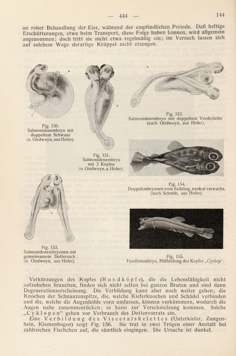 144 an roher Behandlung der Eier, wahrend der empfindlichen Periode. Dab heftige Erschiitterungen, etwa beim Transport, diese Folge haben konnen, wird allgemein angenommen; doch tritt sie nicht etwa regelmabig ein; im Versuch lassen sich auf solchem Wege derartige Kruppel nicht erzeugen. Fig. 150. Salmonidenembryo mit doppeltem Schwanz (n. Girdwoyn, aus Hofer). Fig. 151. Salmonidenembryo mit 2 Kopfen (n. Girdwoyn,a.Hofer). Fig. 153. Salmonidenembryonen mit gemeinsamem Dottersack i (n. Girdwoyn, aus Hofer). Fig. 152. Salmonidenembryo mit doppeltem Vorderleibe (nach Girdwoyn, aus Hofer). Fig. 154, Doppelembryonen vom Saibling, neutral verwachs. (nach Schmitt, aus Hofer). Fig. 155. Forellenembryo, Mifibildung des Kopfes „Cyclop“. Verkiirzungen des Kopfes (R u ndkopf e), die die Lebensfahigkeit nicht aufzuheben brauchen, finden sich nicht selten bei ganzen Bruten und sind dann Degenerationserscheinung. Die Verbildung kann aber noch weiter gehen; die Knochen der Schnauzenspitze, die, welche Kieferknochen und Schadel verbinden und die, welche die Augenhohle vorn umfassen, konnen verkummern, wodurch die Augen nahe zusammenrucken; es kann zur Verschmelzung kommen. Solche ,,Cyklopen“ gehen vor Verbrauch des Dottervorrats ein. Eine Verbildung des Visceralskelettes (Unterkiefer, Zungen- bein, Kiemenbogen) zeigt Fig. 156. Sie trat in zwei Trogen einer Anstalt bei zahlreichen Fischchen auf, die samtlich eingingen. Die Ursache ist dunkel.